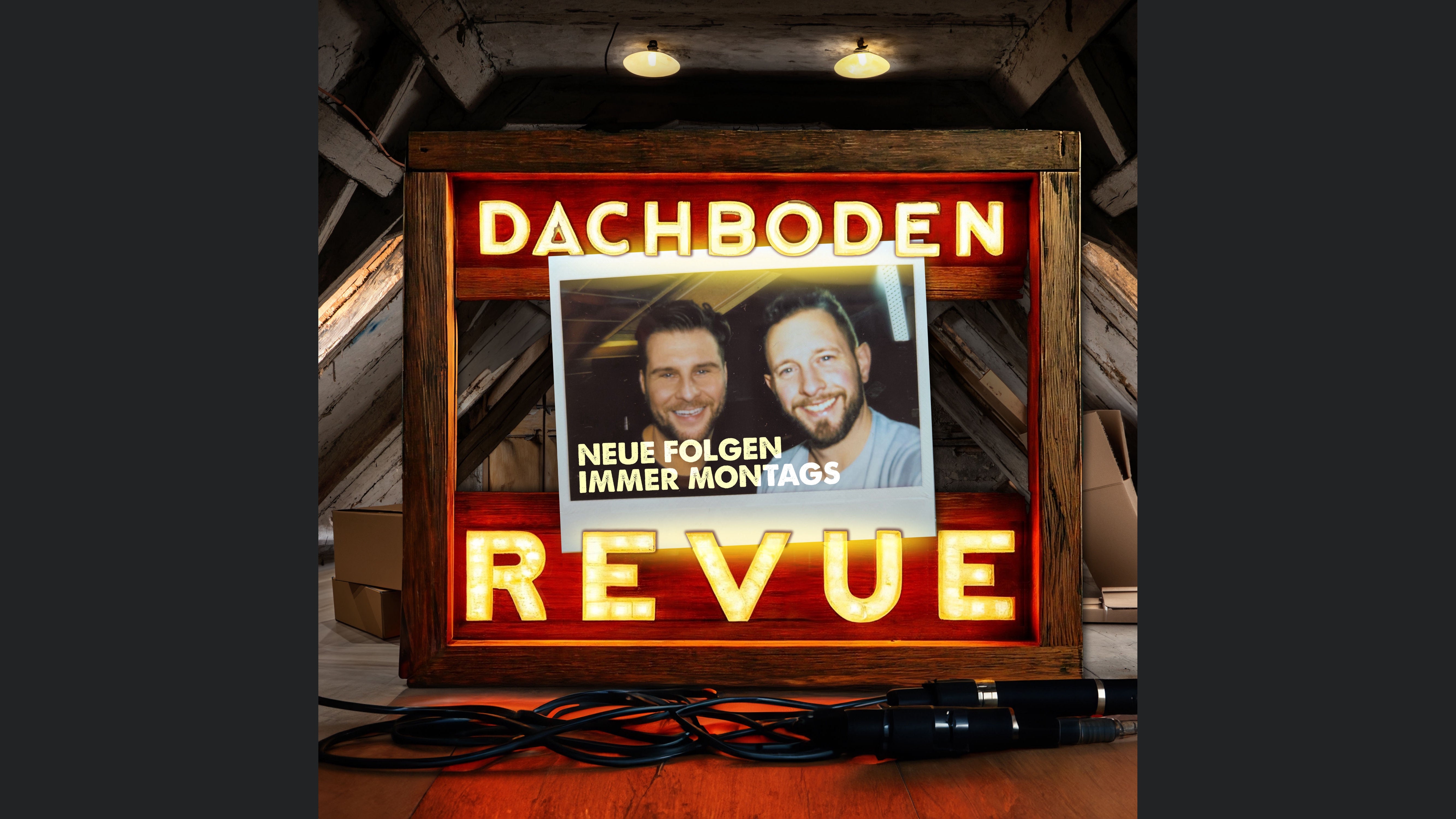 Dachboden Revue - Reality of Life