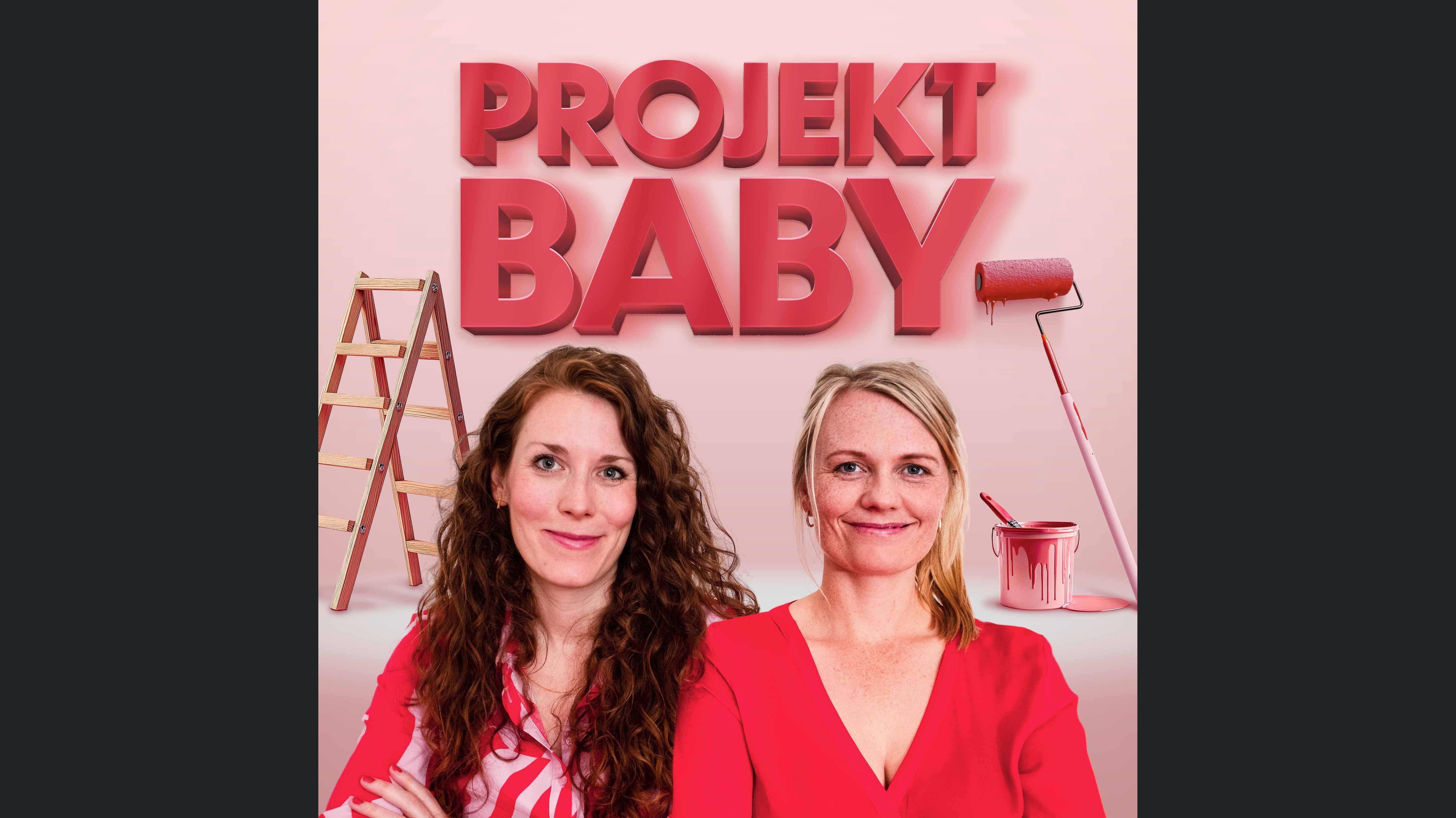 Projekt Baby - Mit Plan durch Schwangerschaft, Geburt und Wochenbett