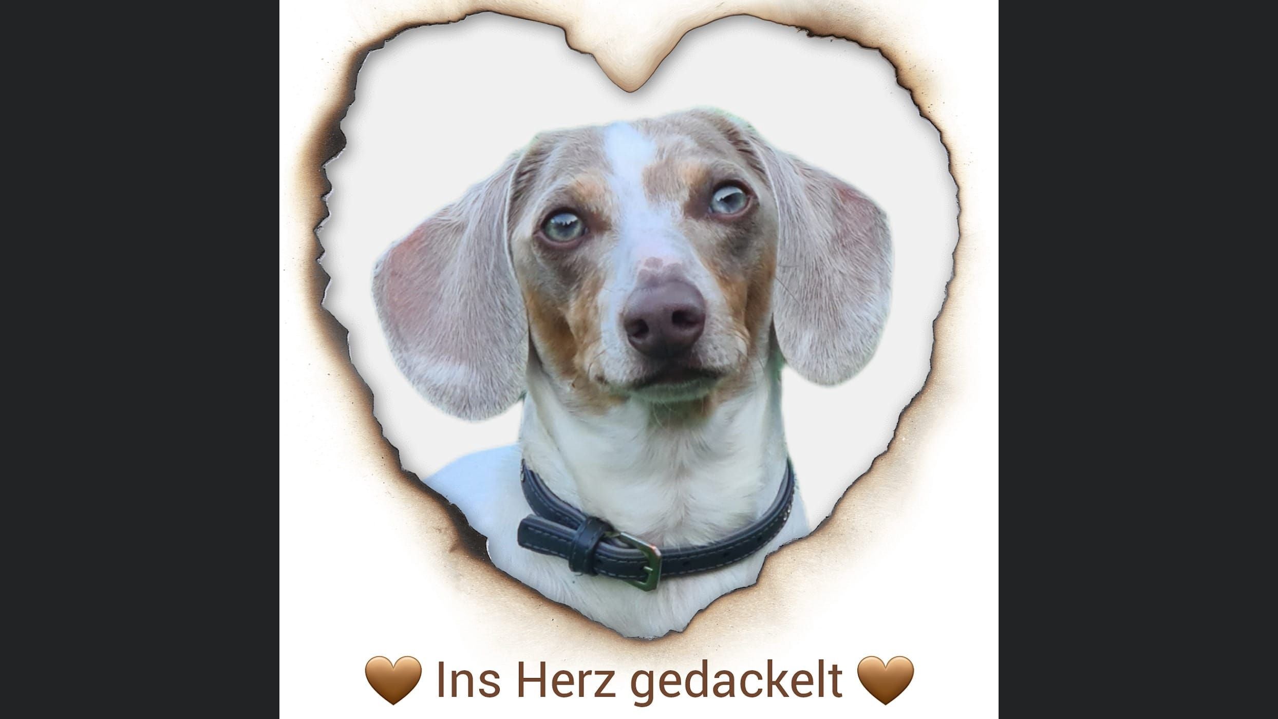 Ins Herz gedackelt