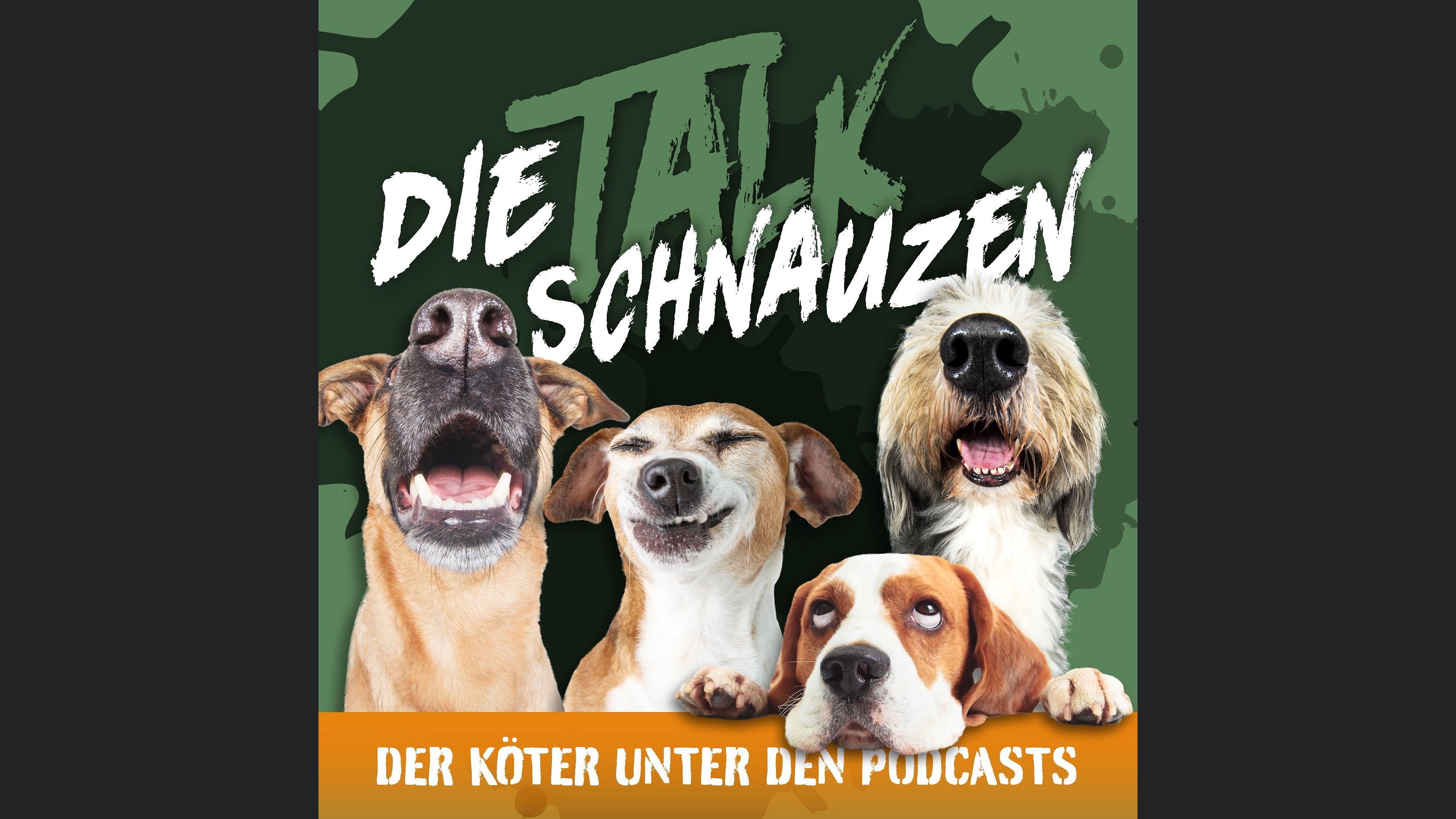 Die Talkschnauzen