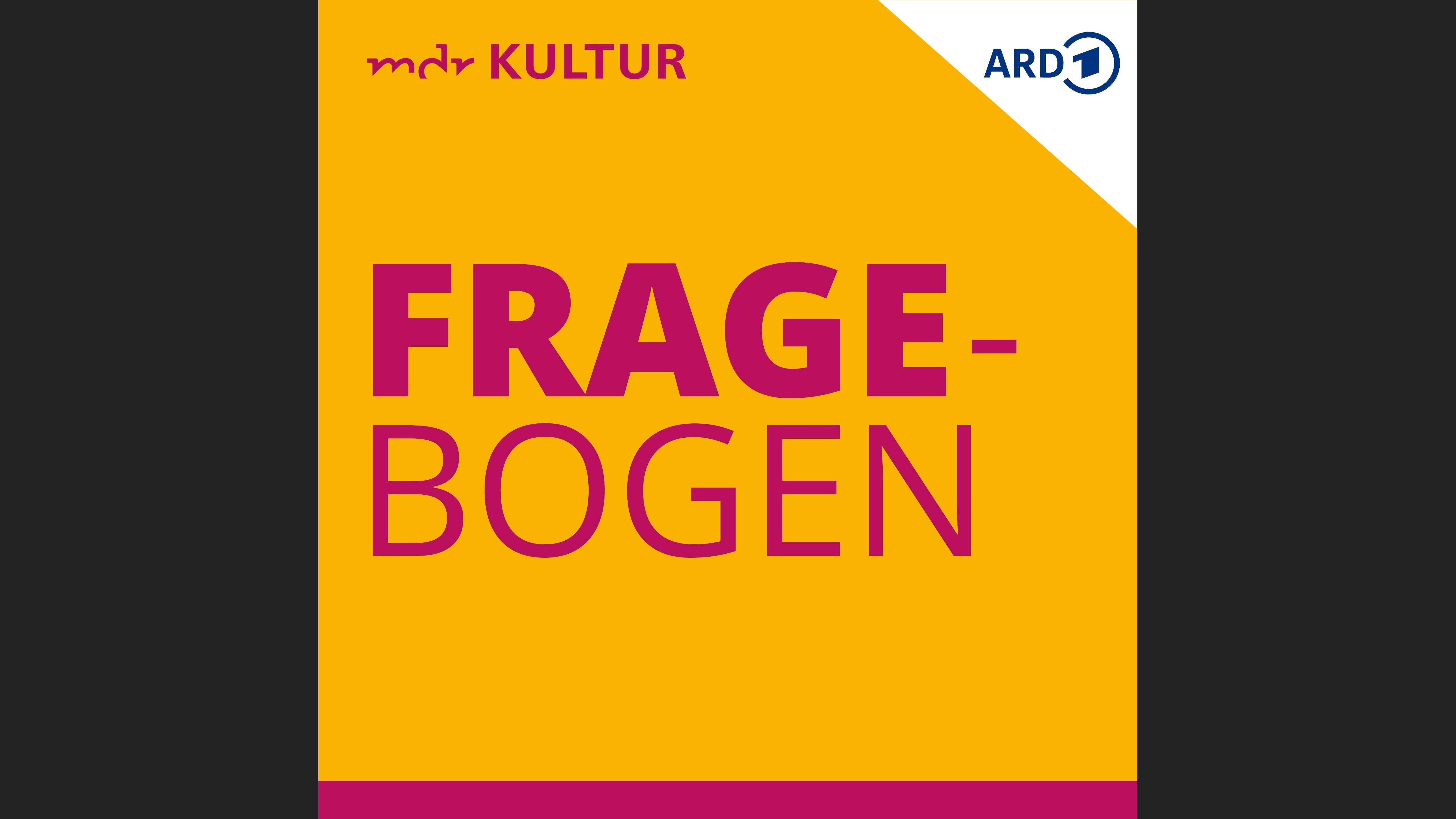 MDR KULTUR Fragebogen