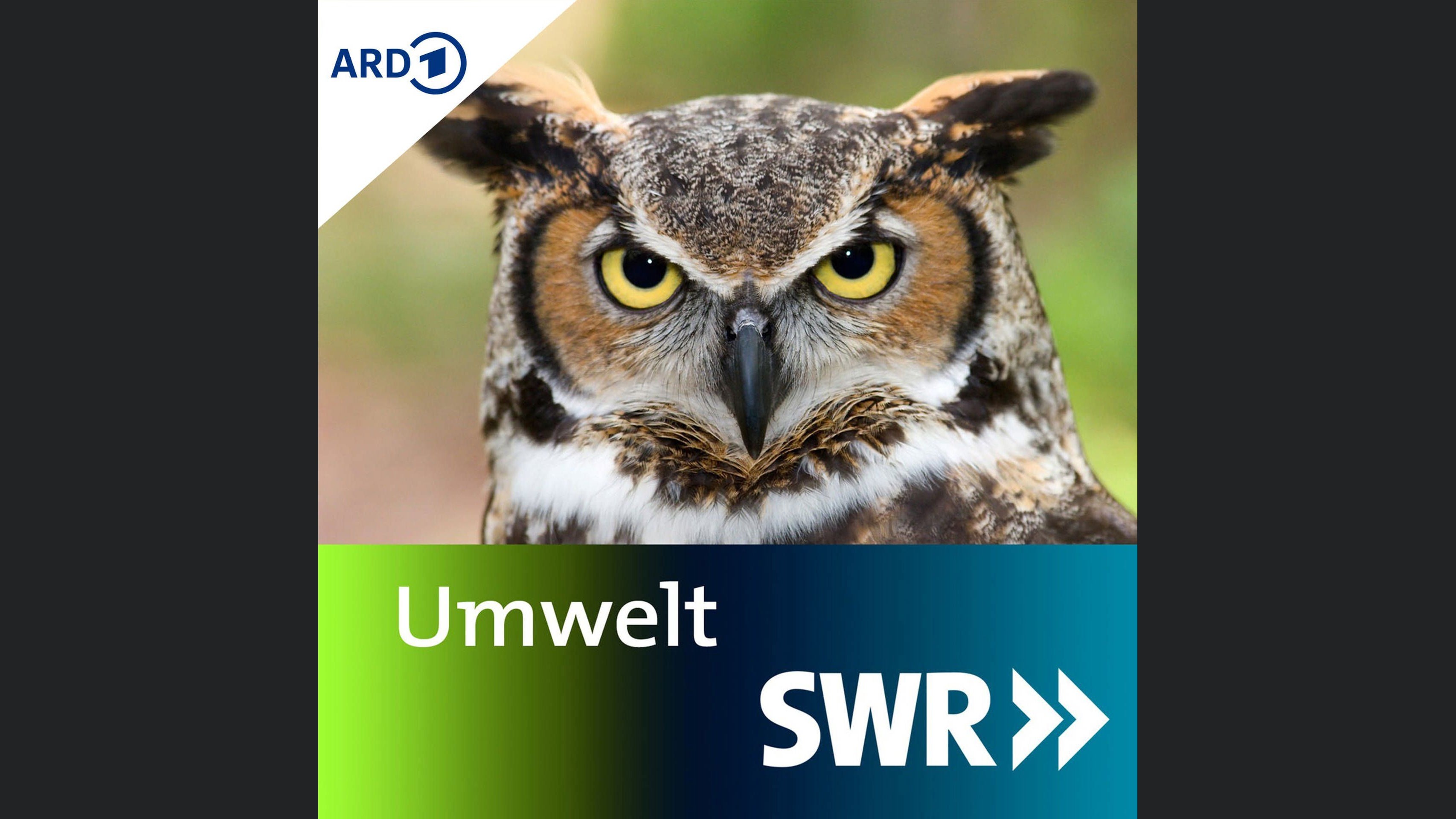 SWR Umweltnews