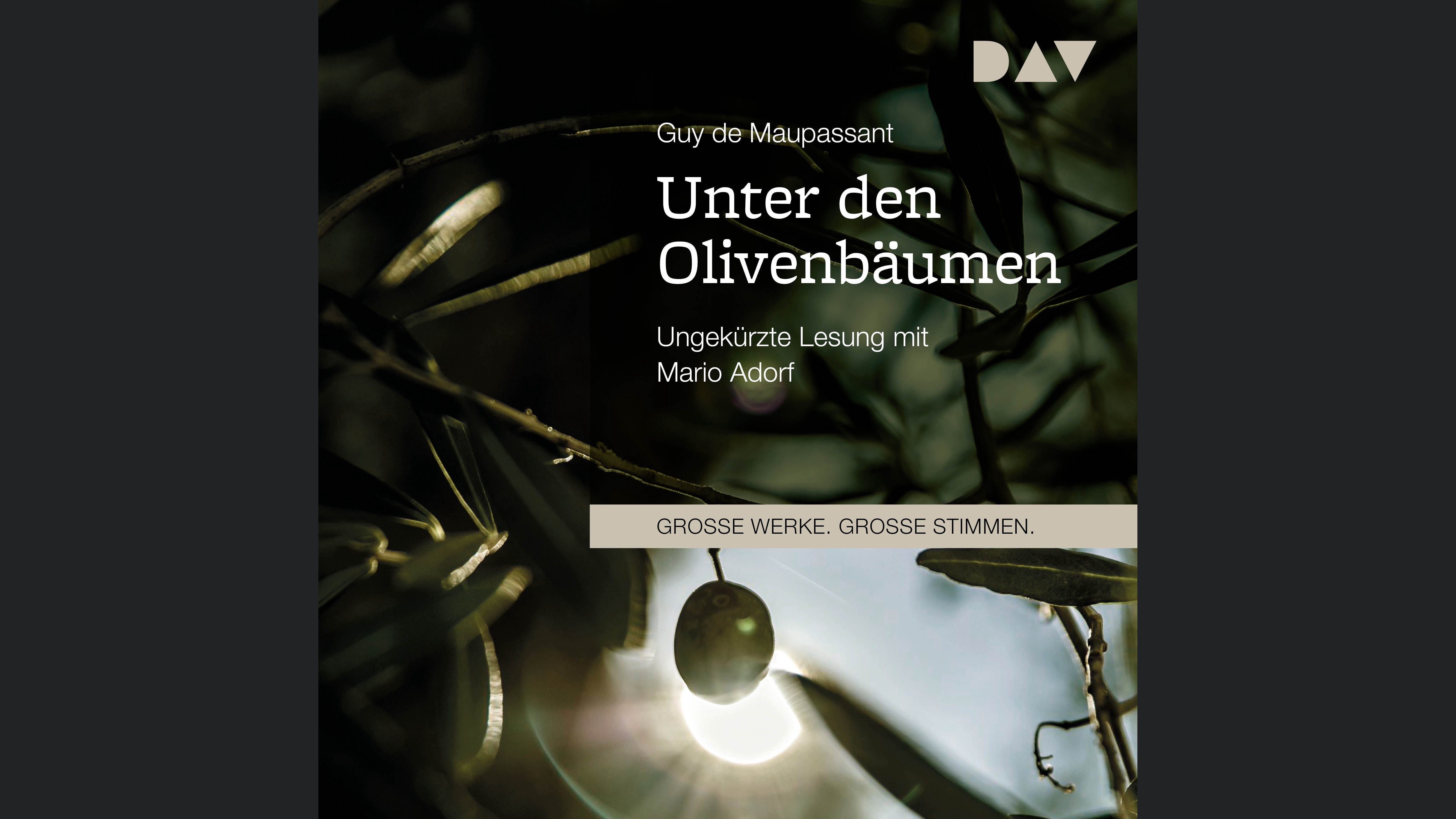 Unter den Olivenbäumen