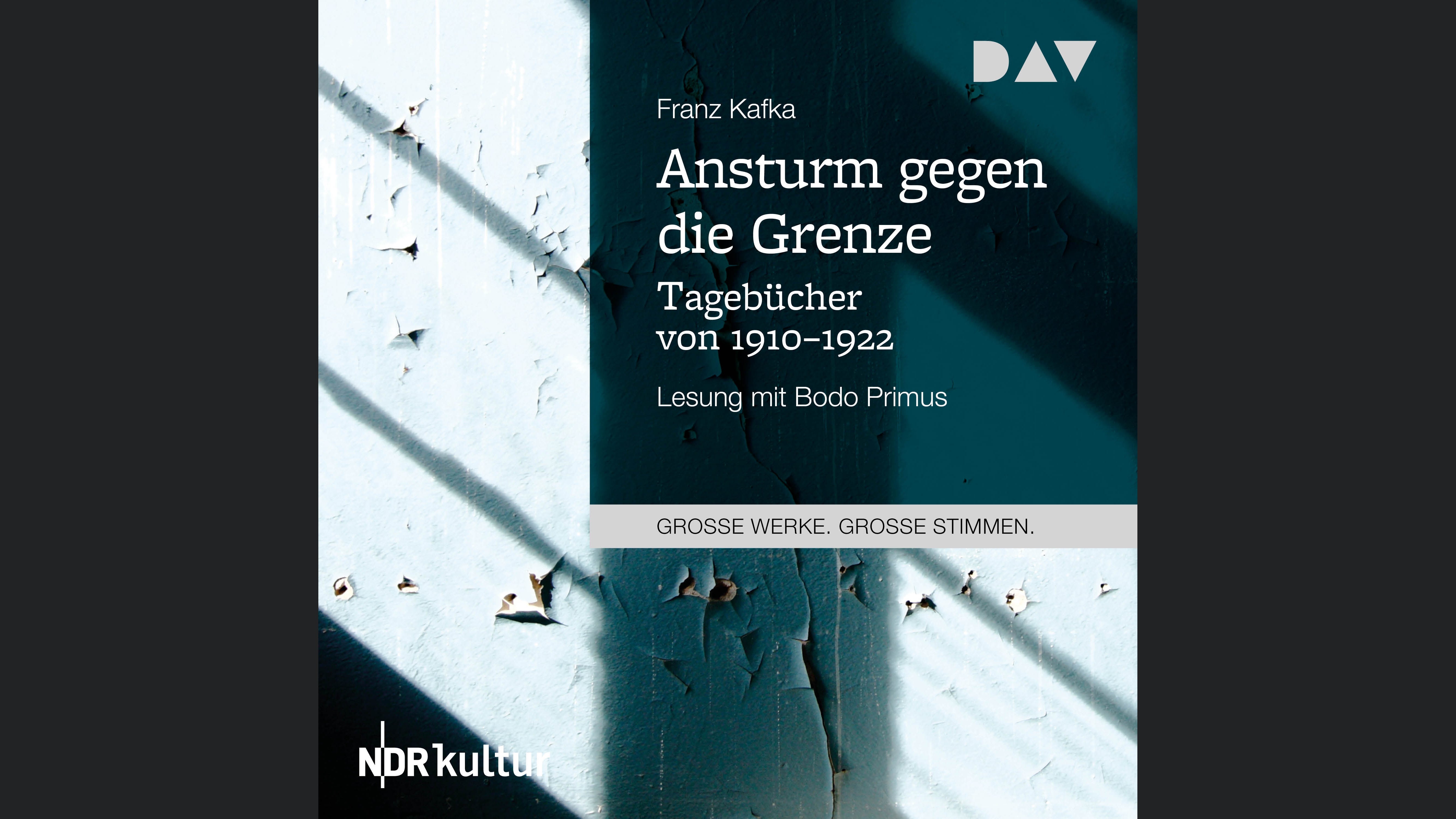 Ansturm gegen die Grenze. Tagebücher von 1910–1922