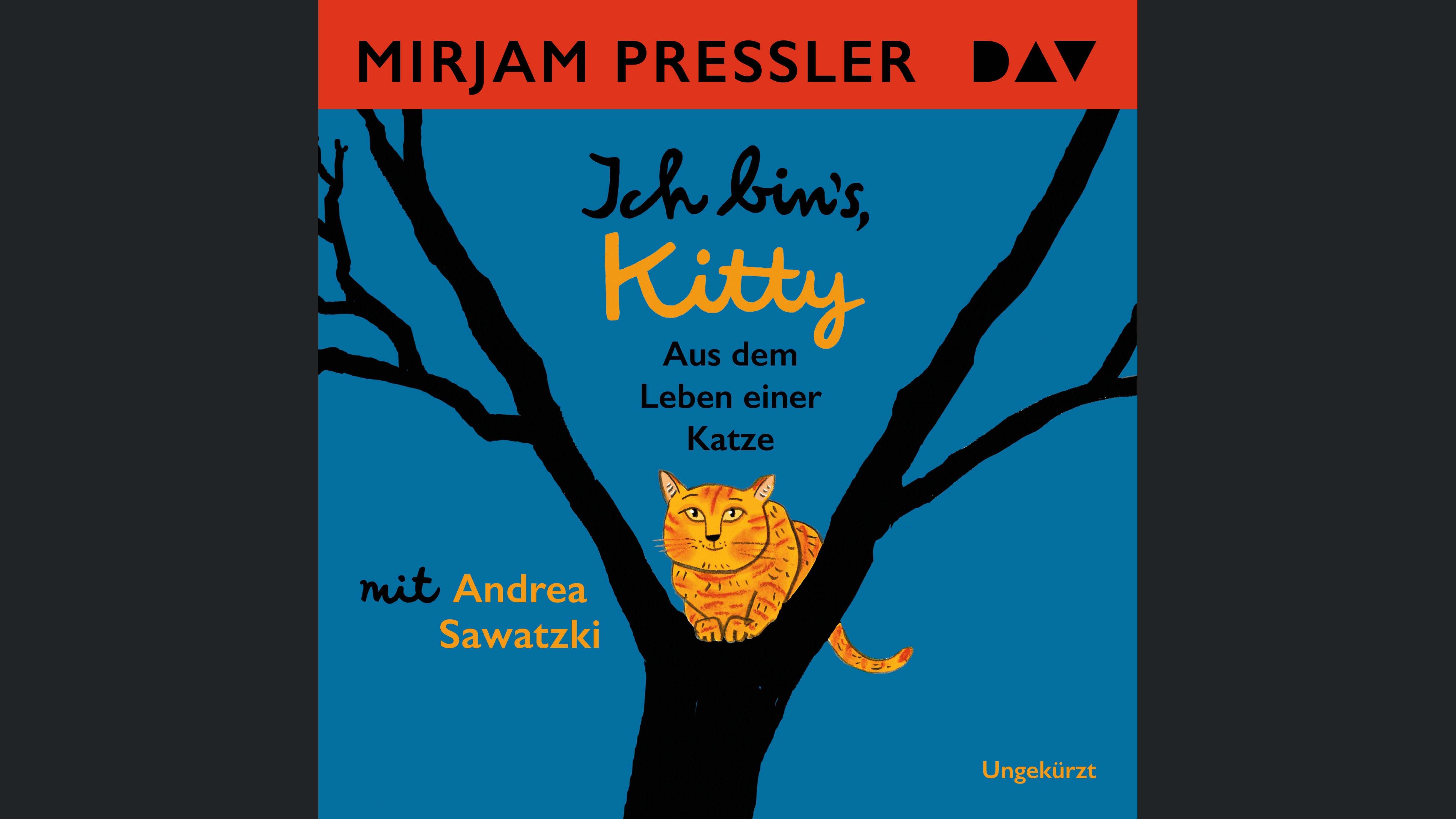 Ich bin's, Kitty. Aus dem Leben einer Katze
