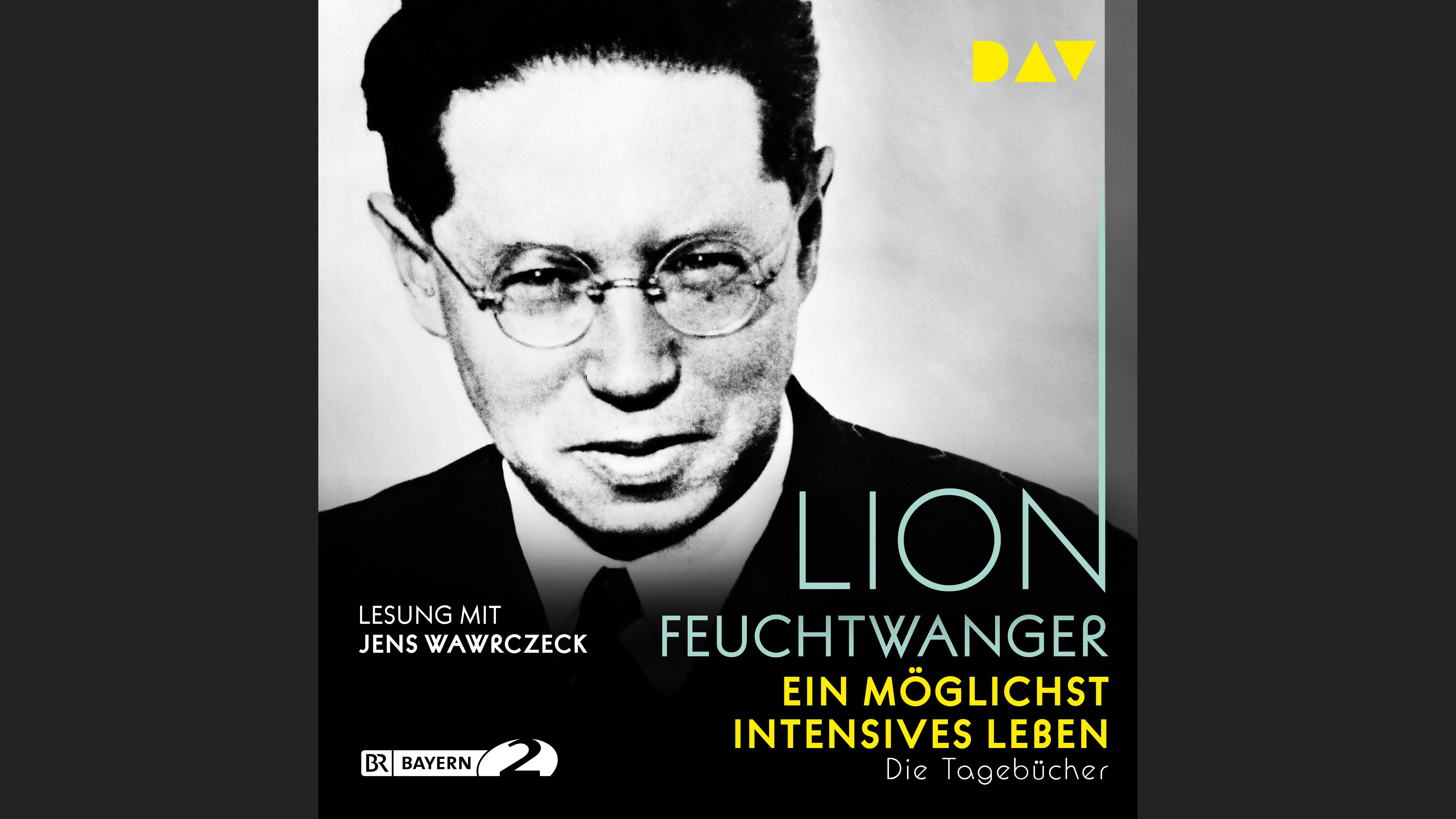 Ein möglichst intensives Leben. Die Tagebücher