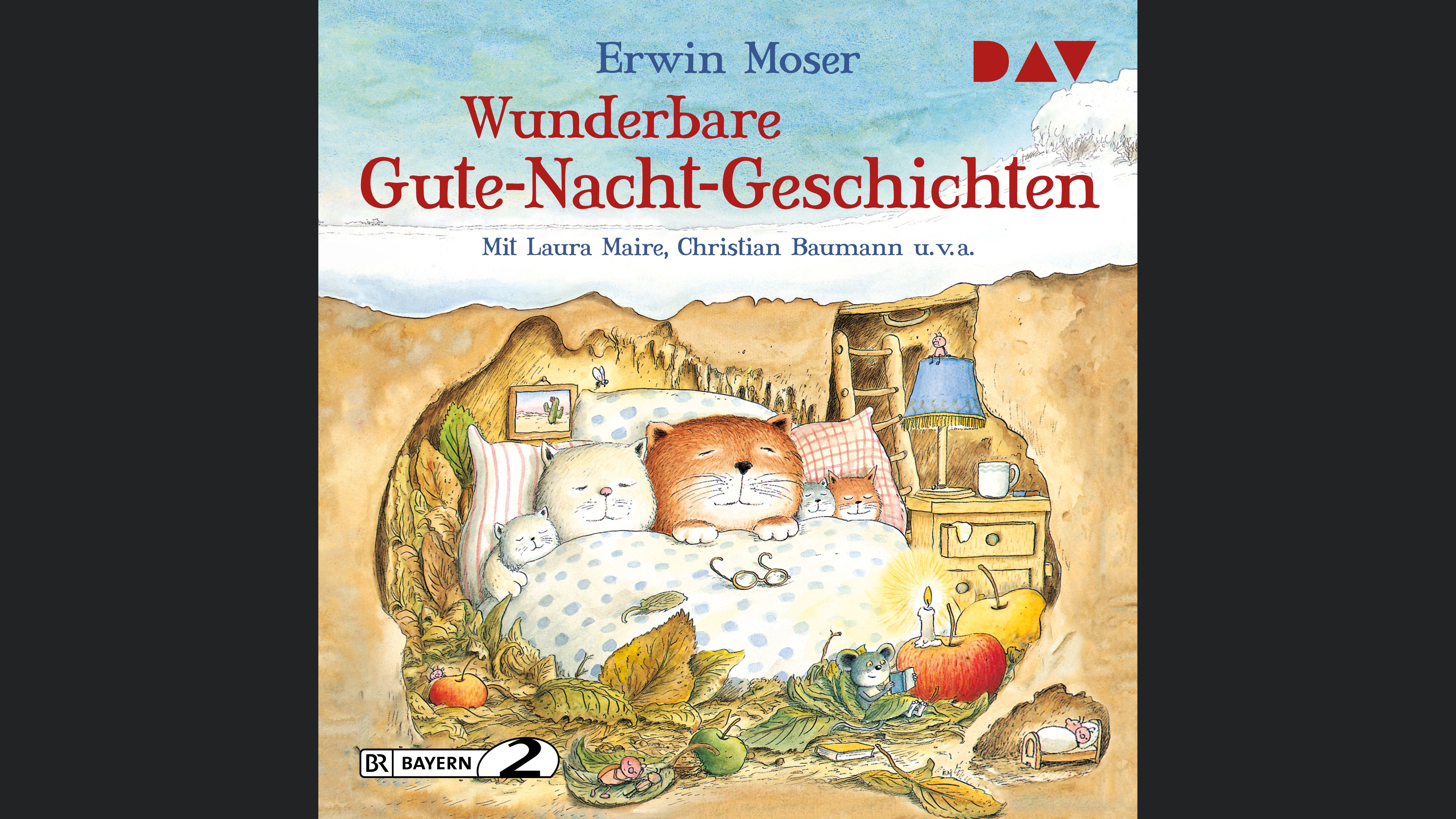 Wunderbare Gute-Nacht-Geschichten