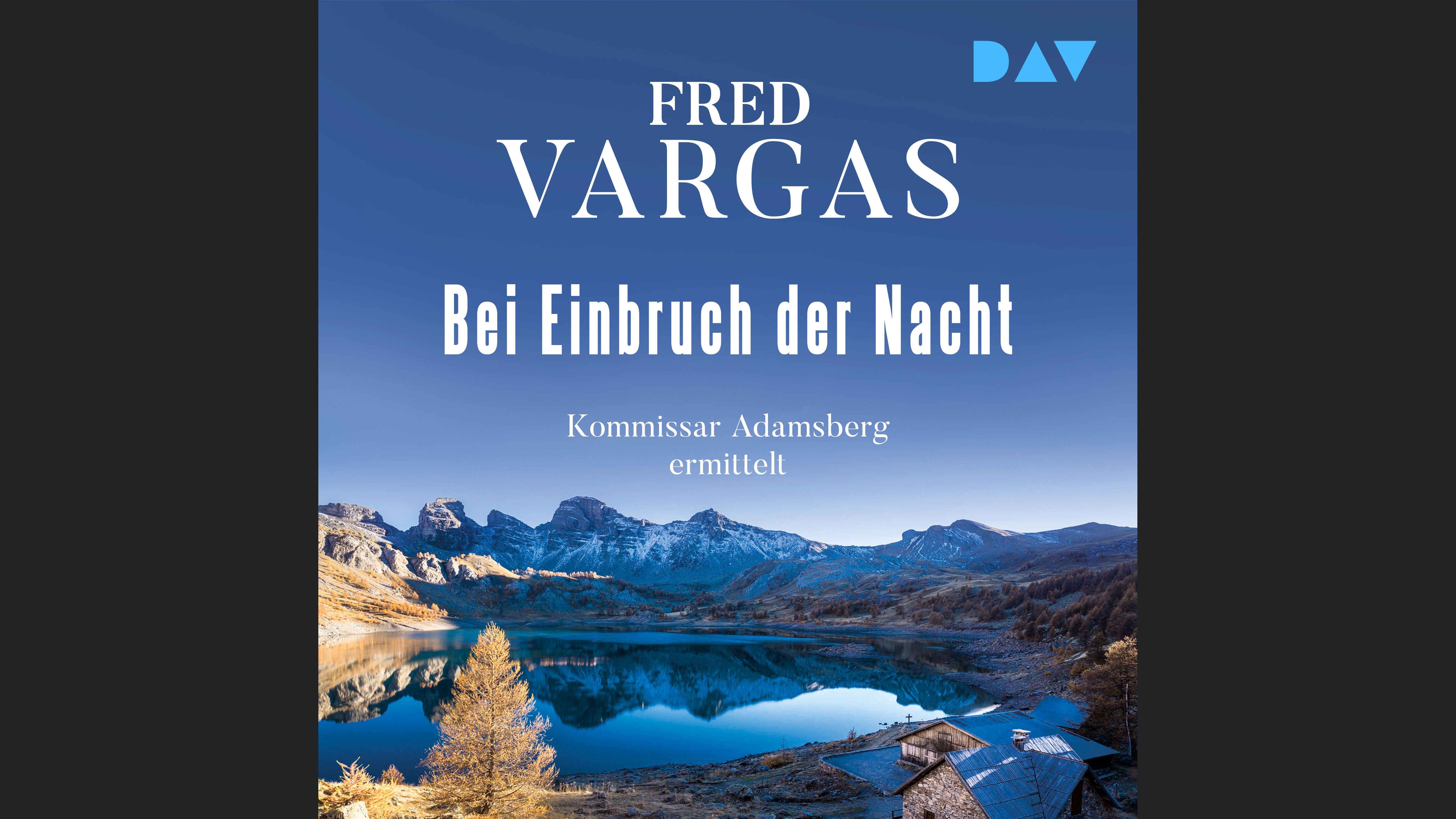 Bei Einbruch der Nacht – Adamsberg 2