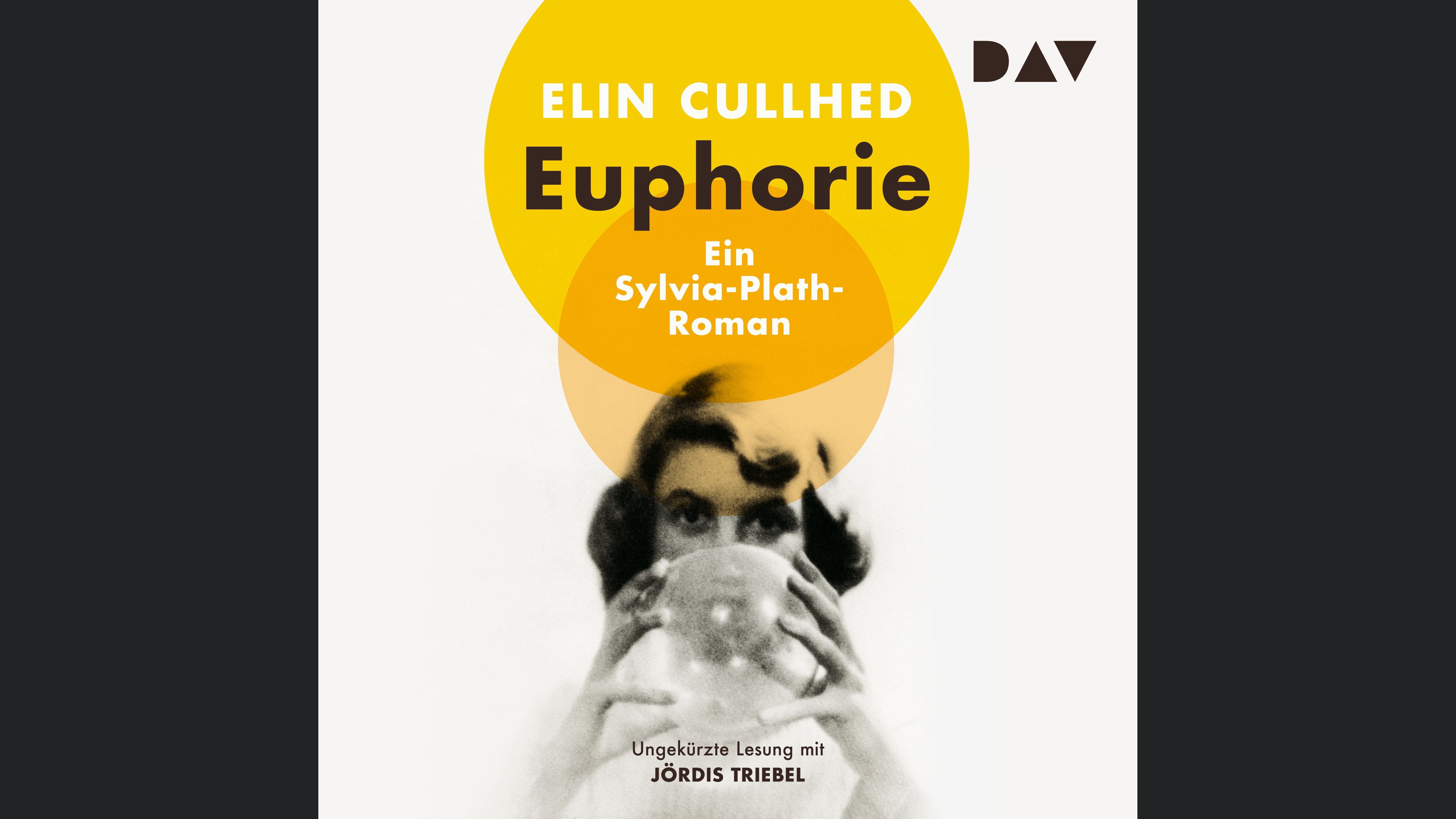 Euphorie. Ein Sylvia-Plath-Roman