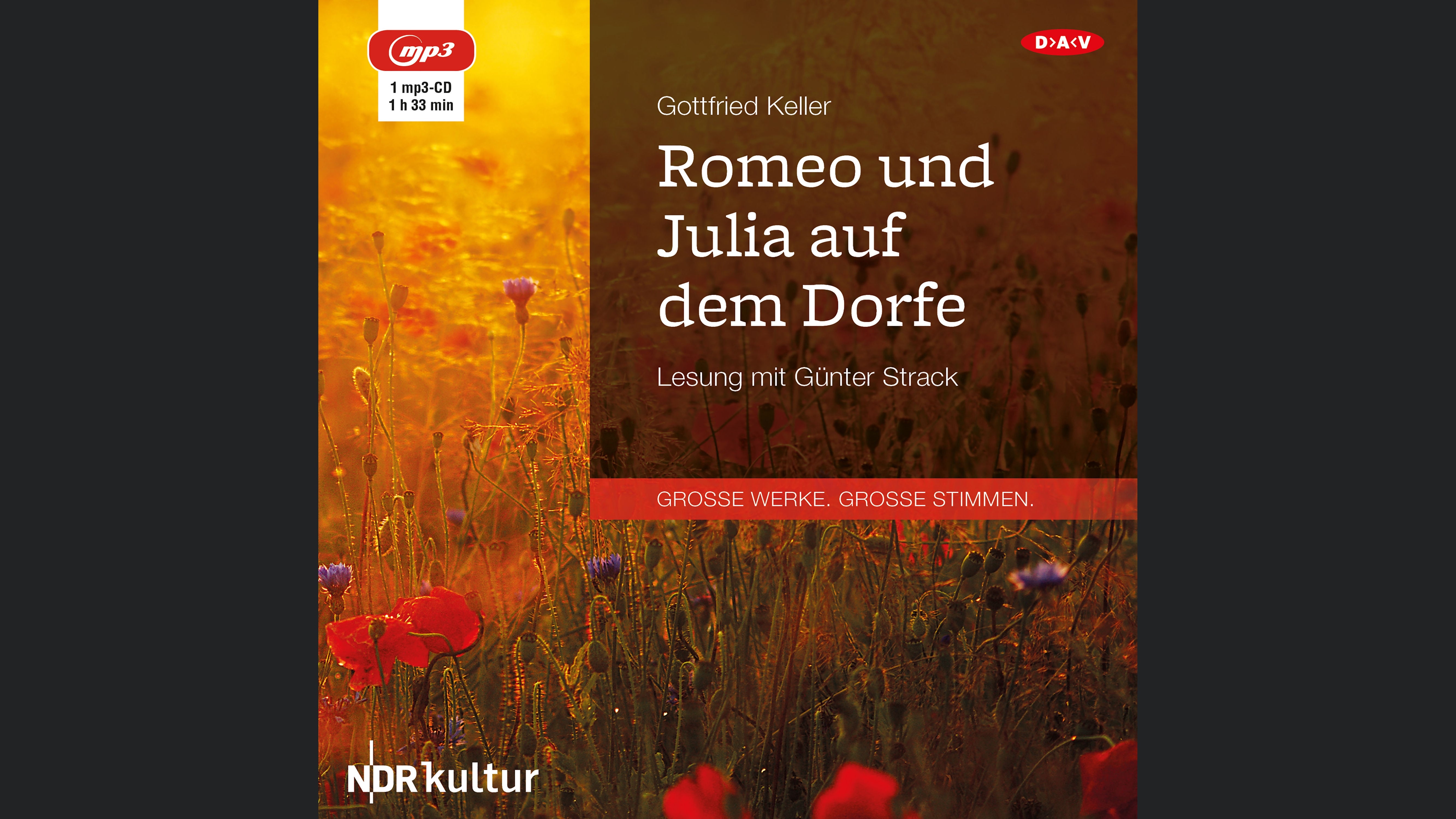 Romeo und Julia auf dem Dorfe