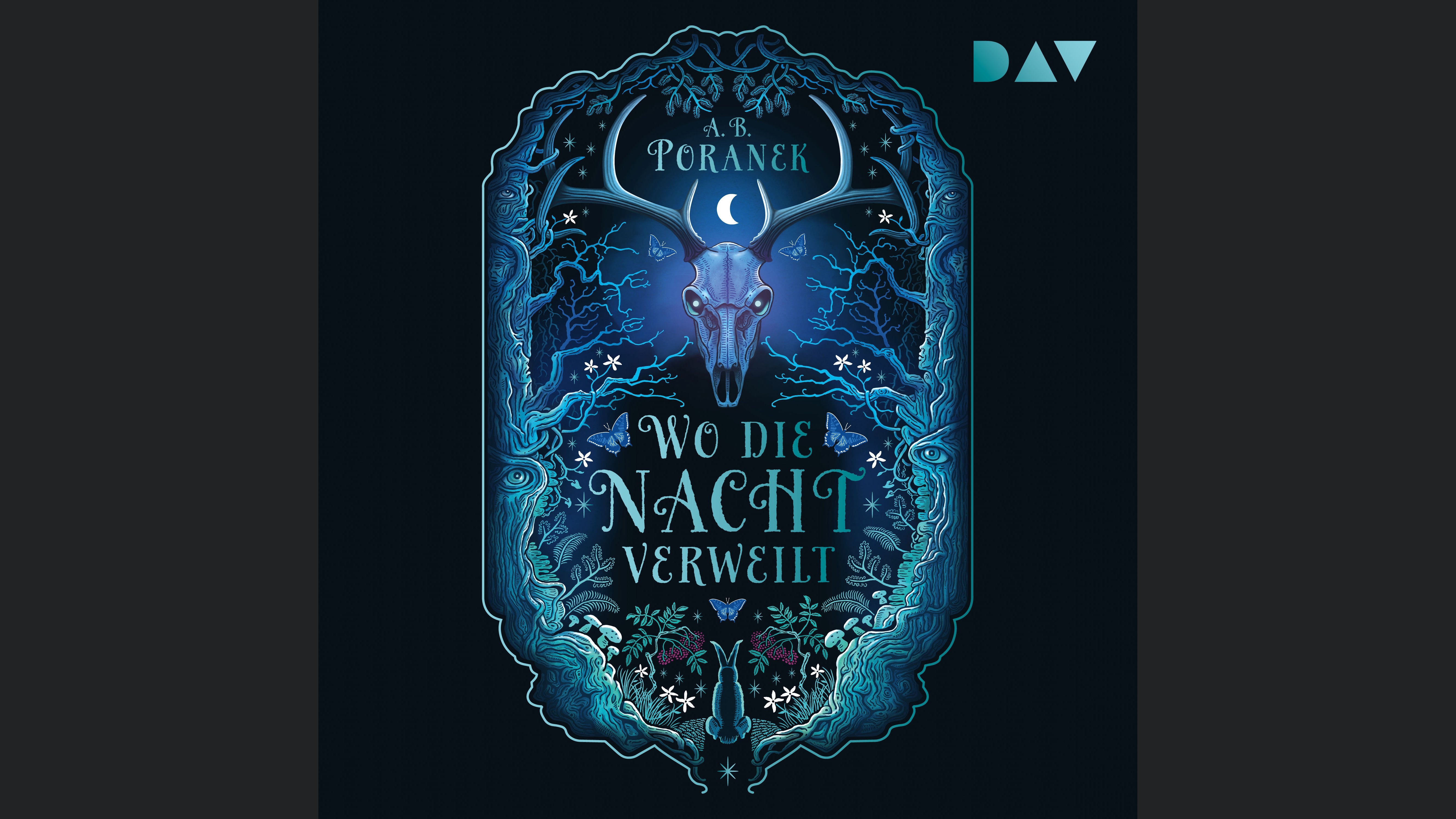 Wo die Nacht verweilt