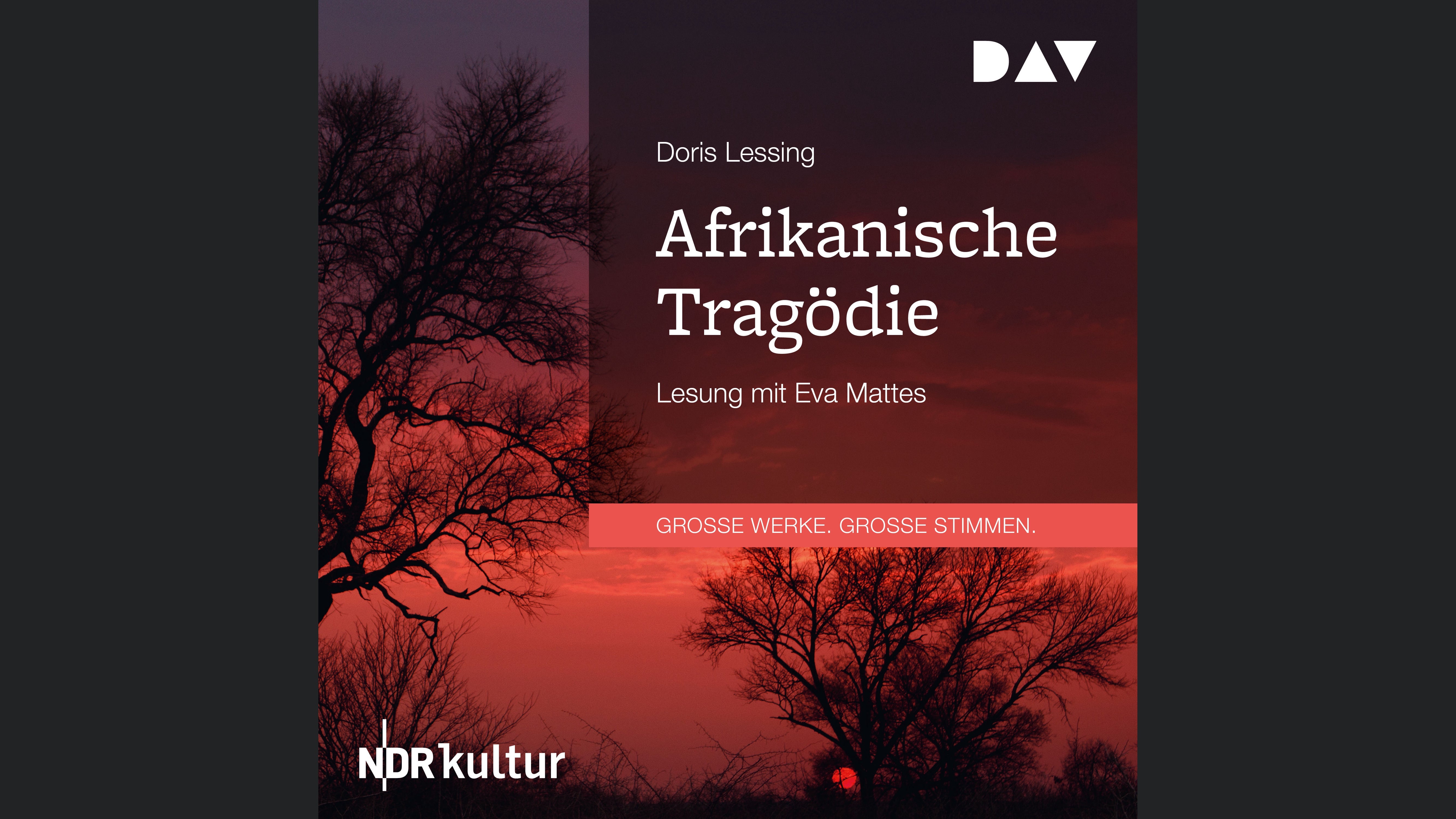 Afrikanische Tragödie
