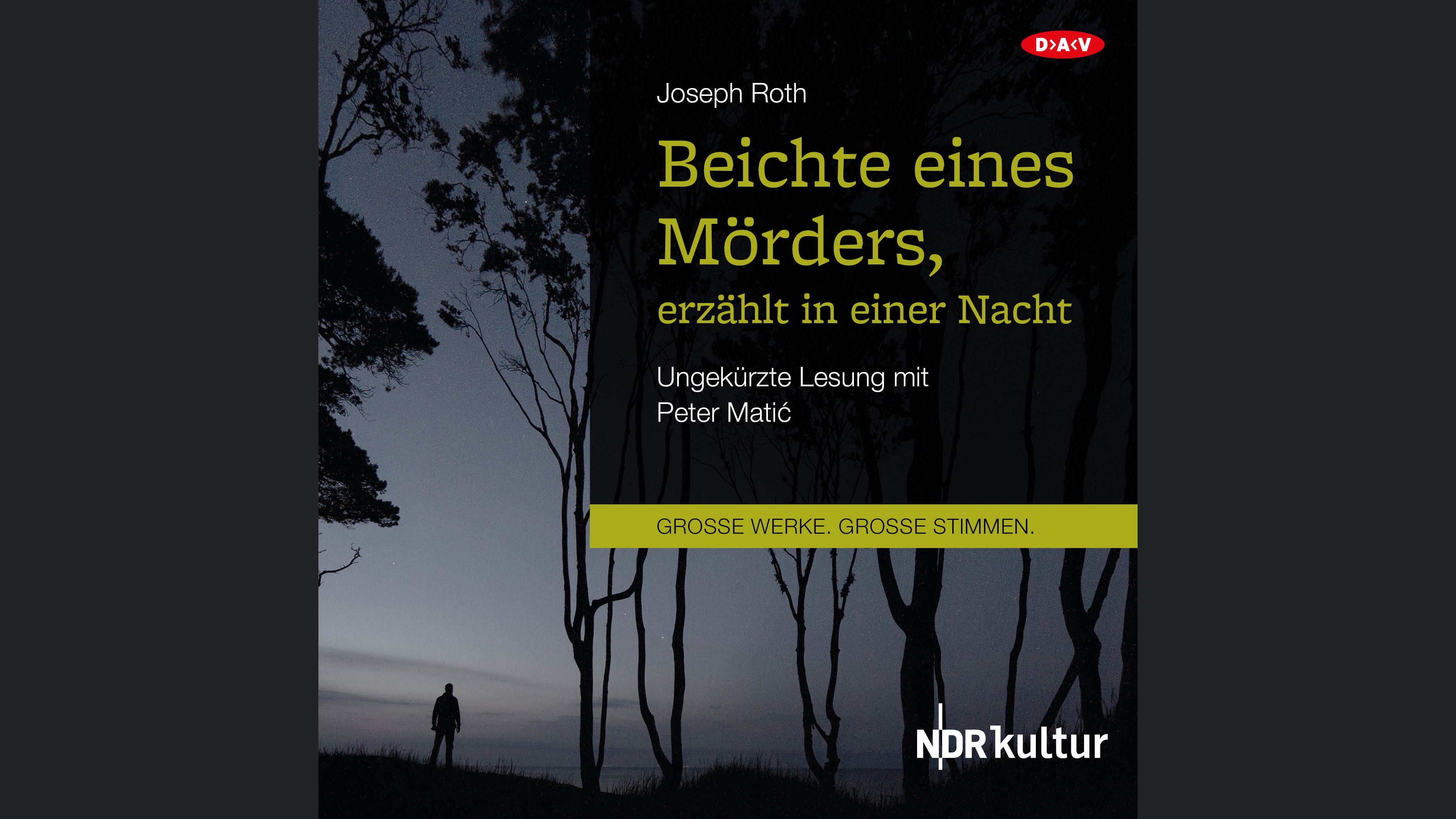 Beichte eines Mörders, erzählt in einer Nacht