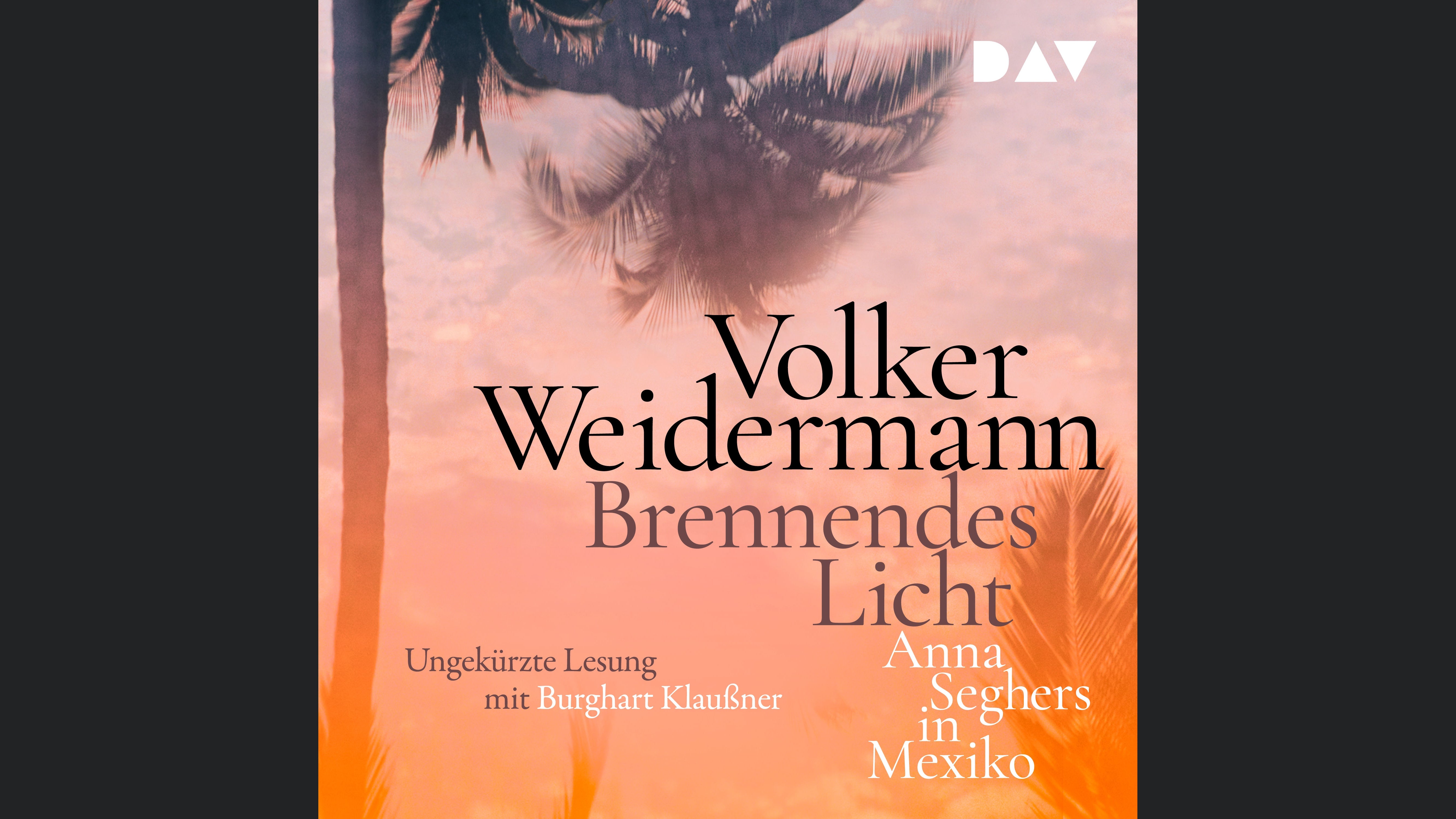 Brennendes Licht. Anna Seghers in Mexiko