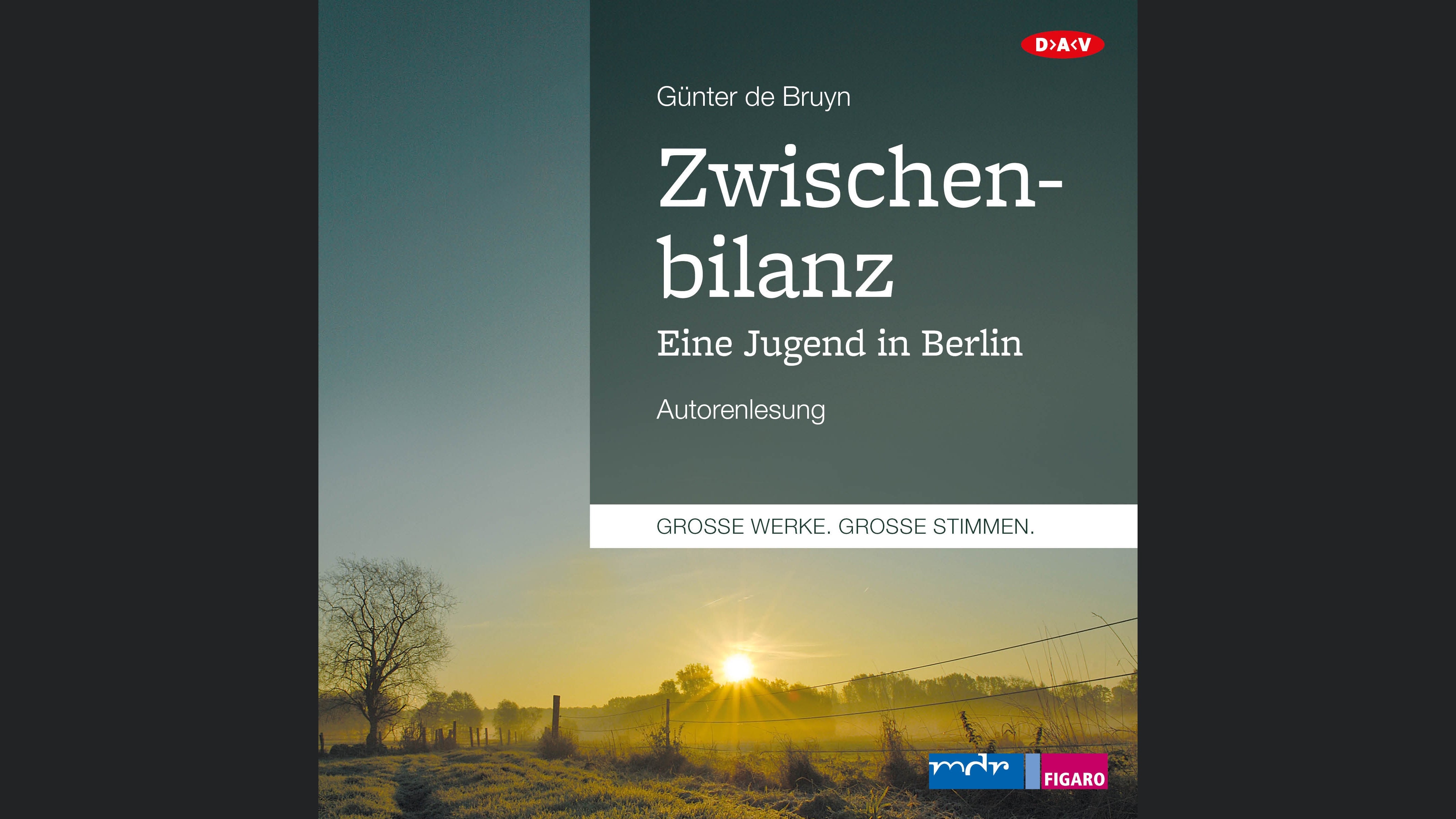 Zwischenbilanz. Eine Jugend in Berlin