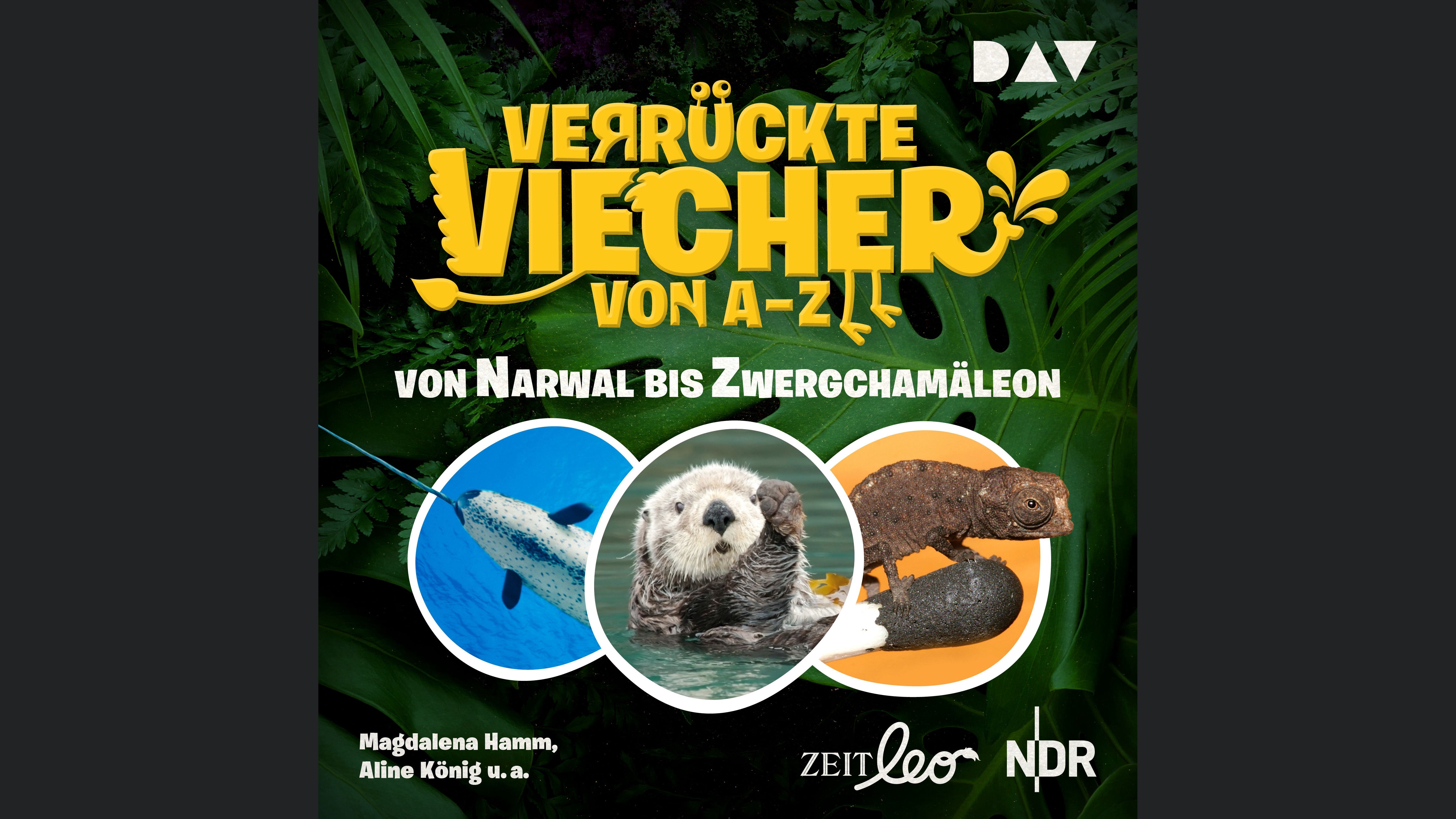 Verrückte Viecher von A bis Z – Teil 2: Von Narwal bis Zwergchamäleon