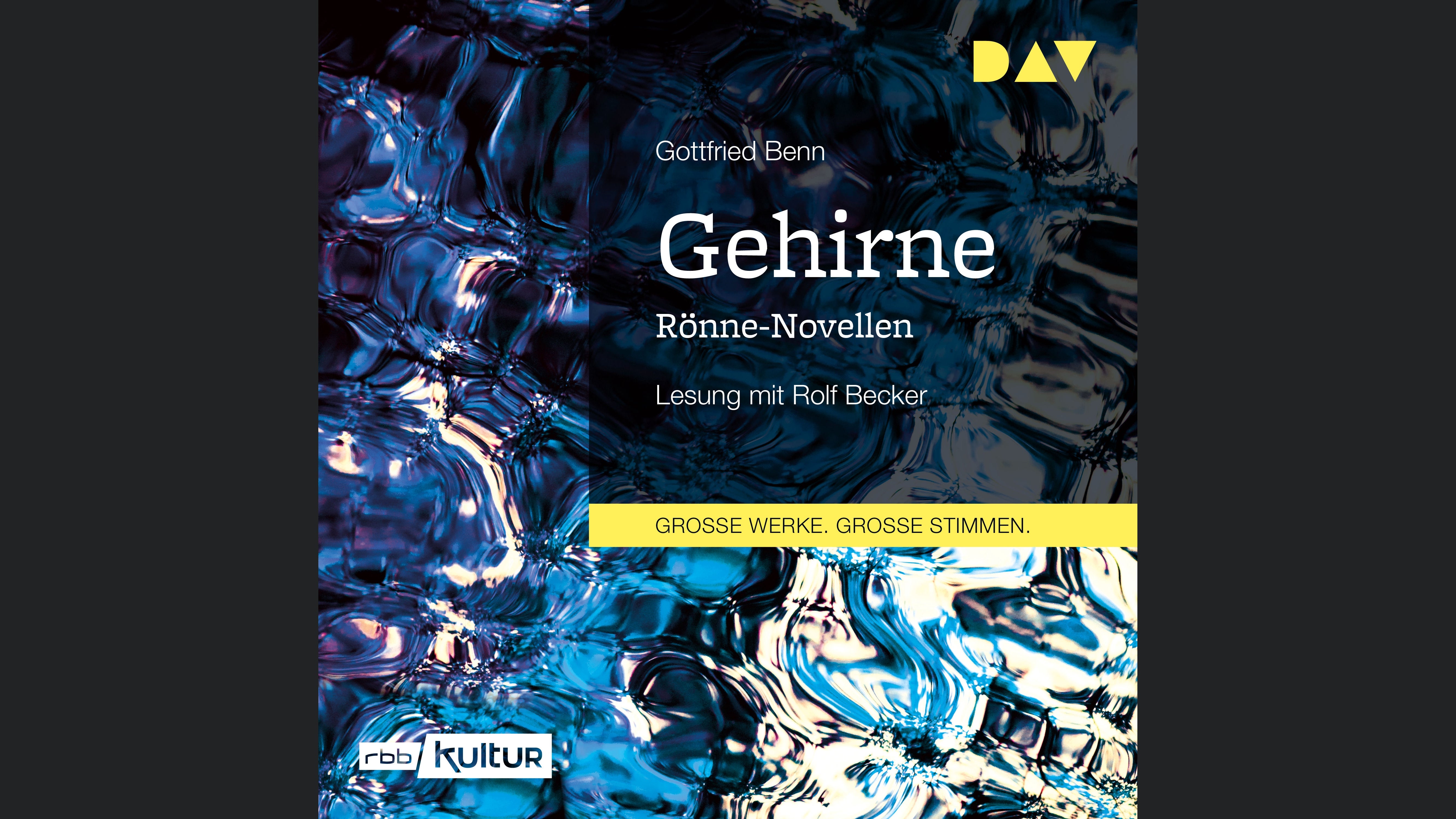 Gehirne. Rönne-Novellen