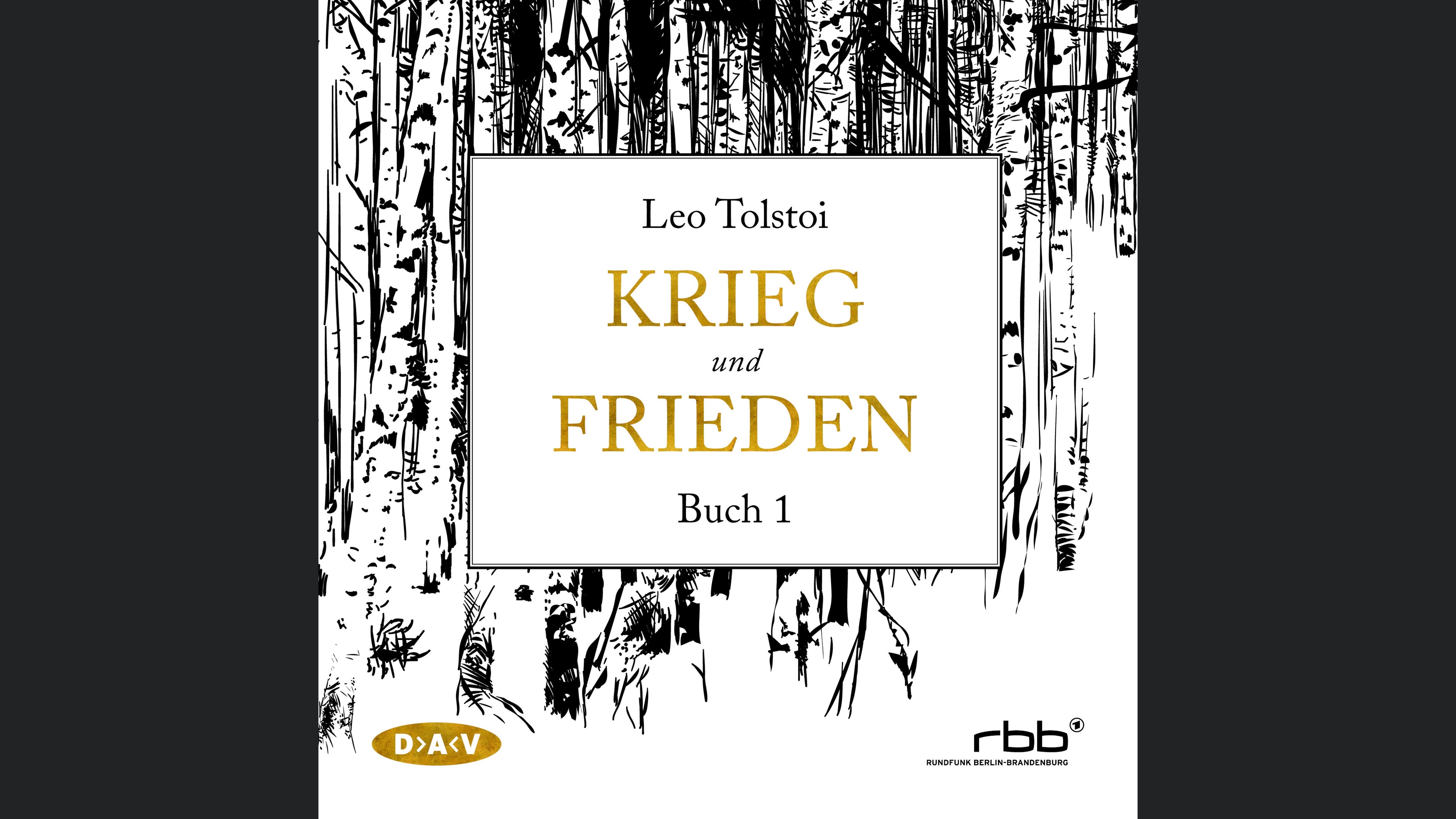 Krieg und Frieden – Buch 1