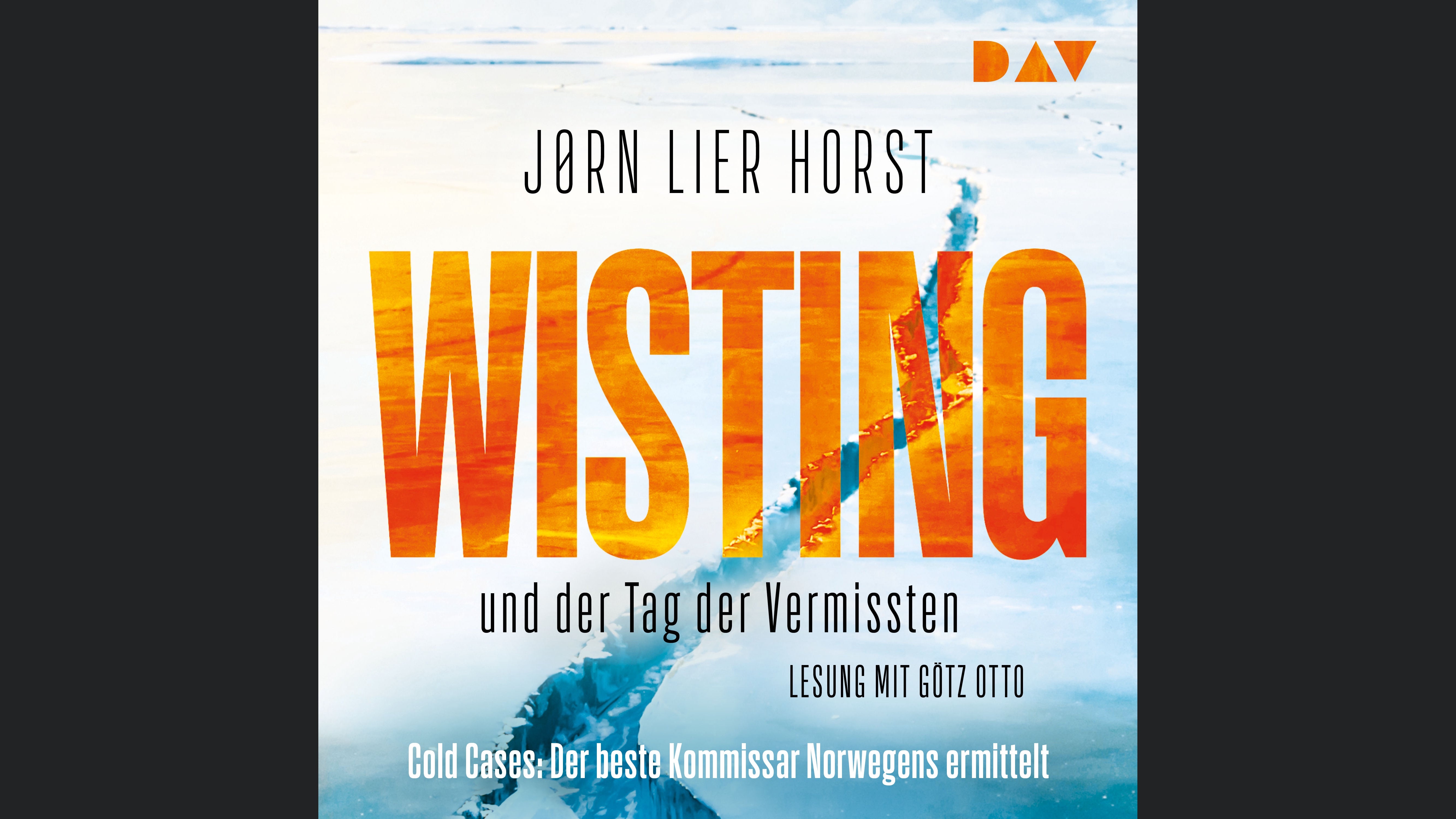 Wisting und der Tag der Vermissten (Cold Cases 1)