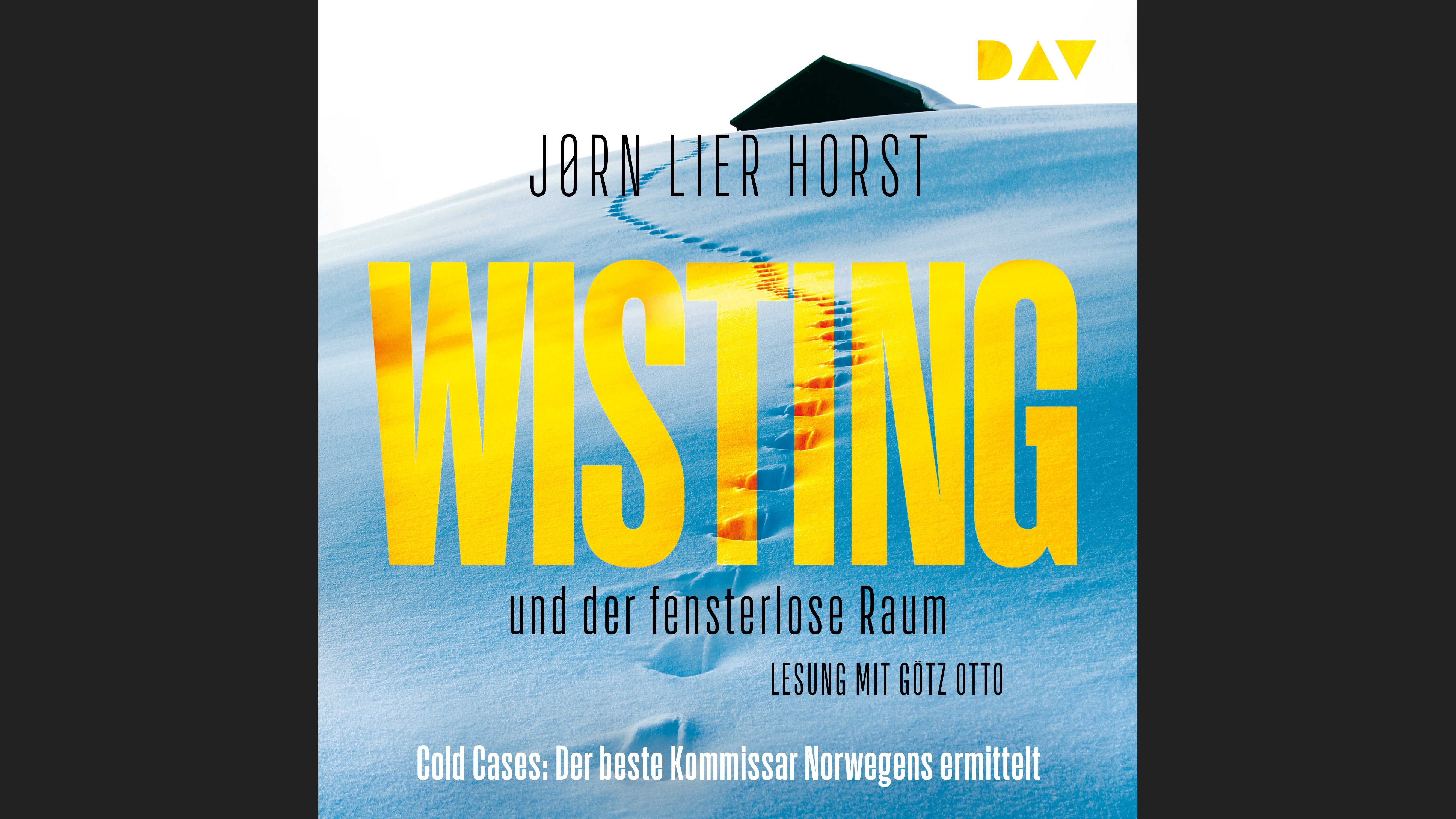 Wisting und der fensterlose Raum (Cold Cases 2)
