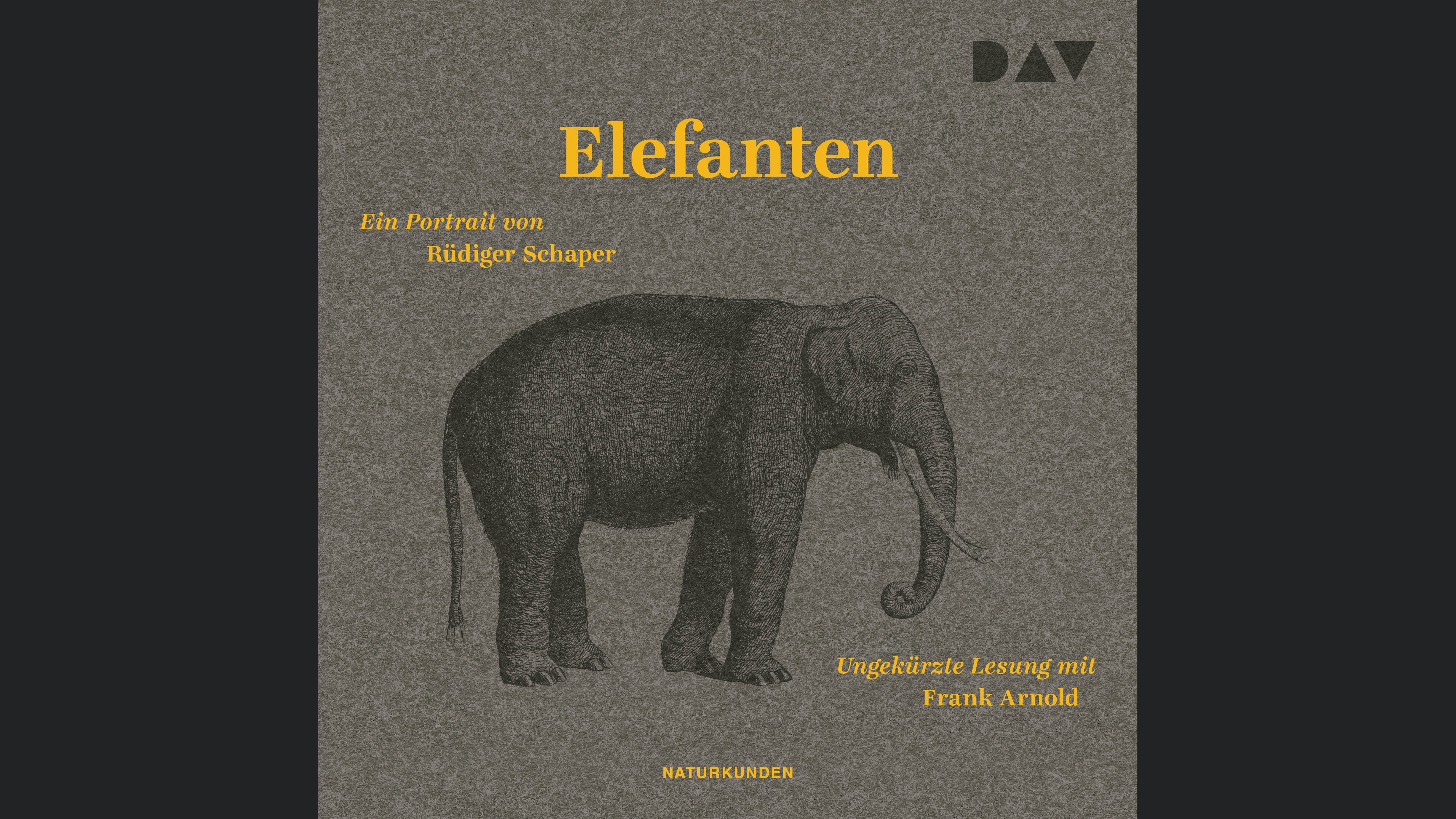 Elefanten. Ein Portrait