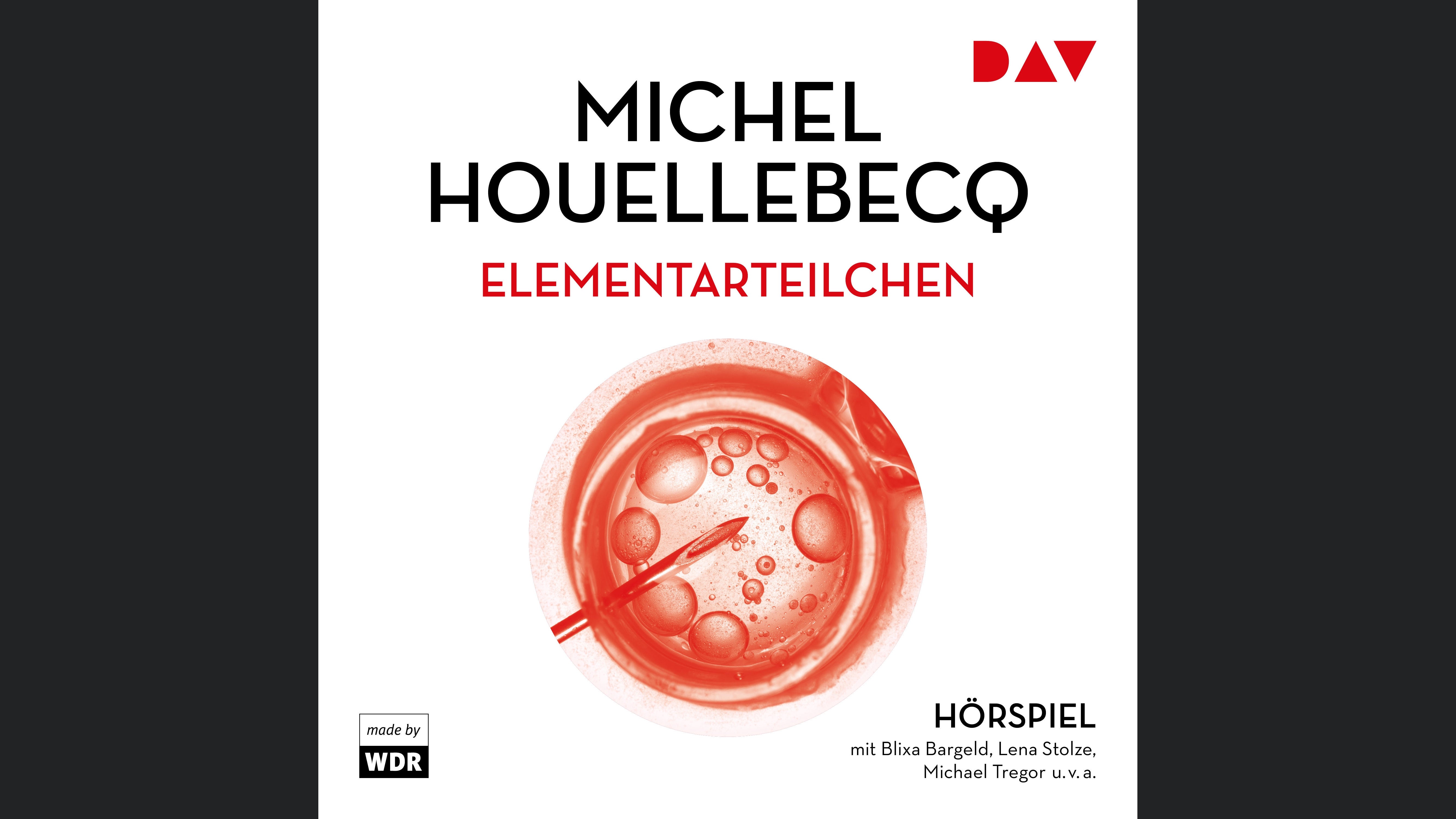 Elementarteilchen