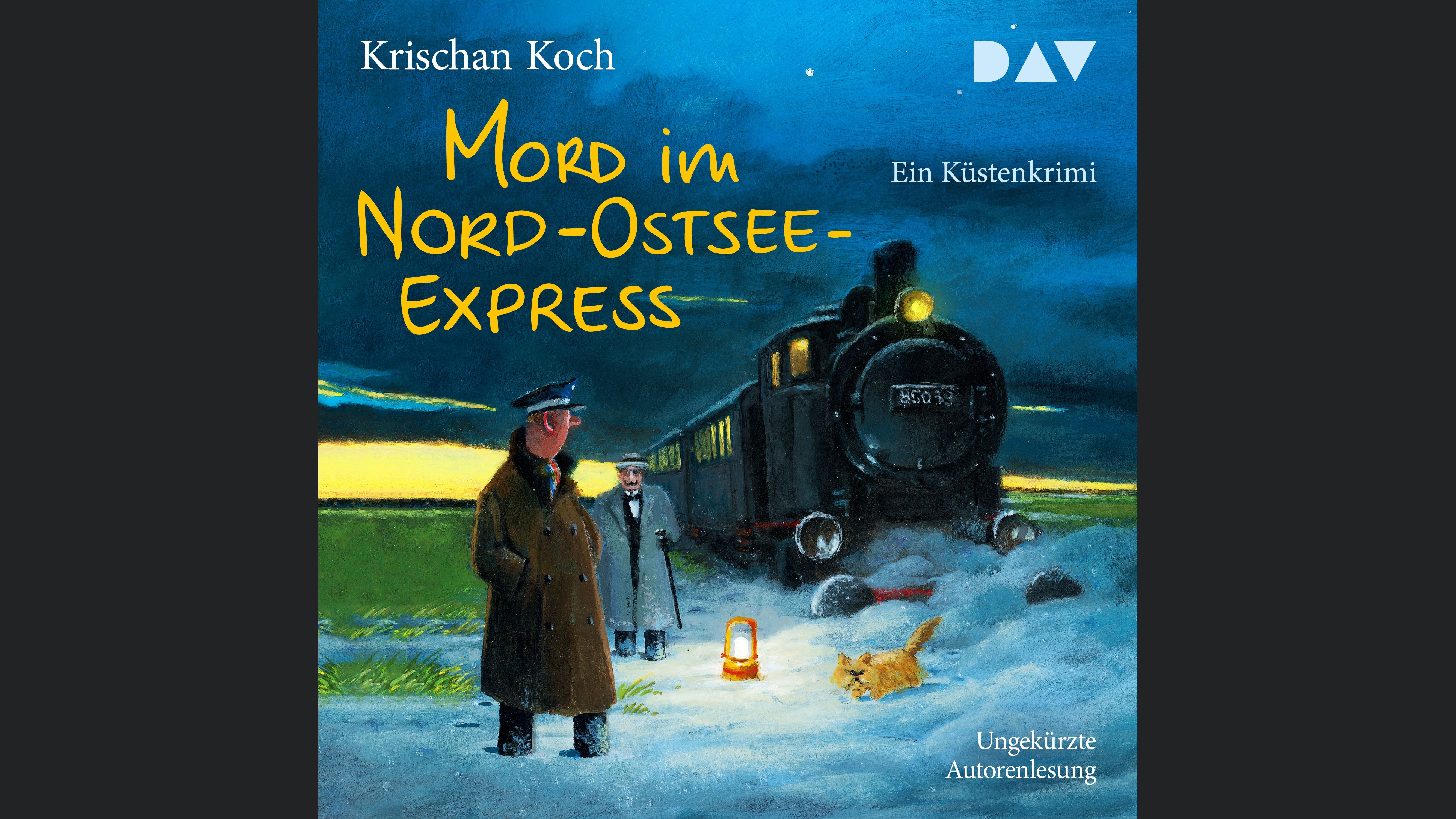 Mord im Nord-Ostsee-Express. Ein Küstenkrimi