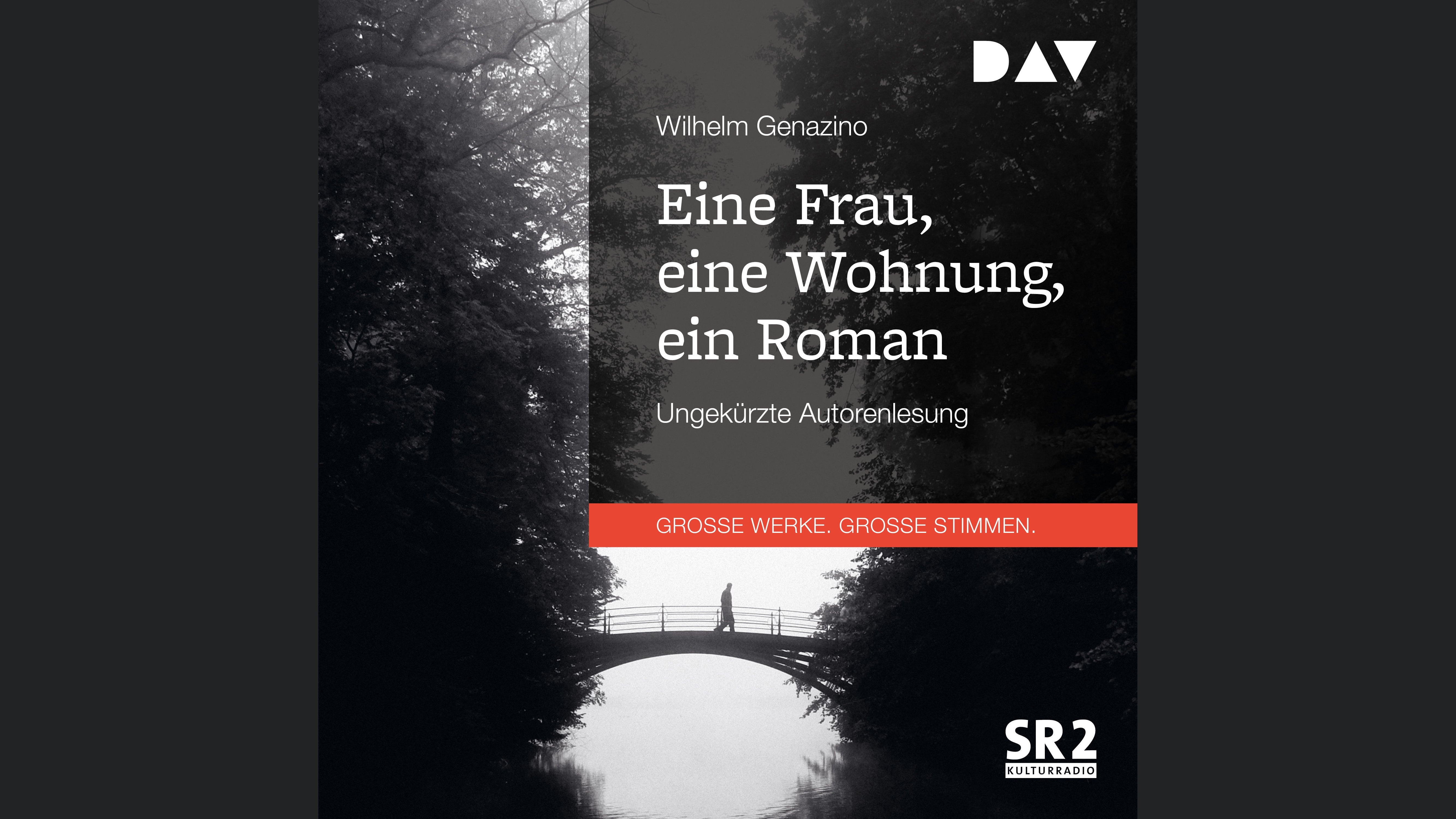 Eine Frau, eine Wohnung, ein Roman