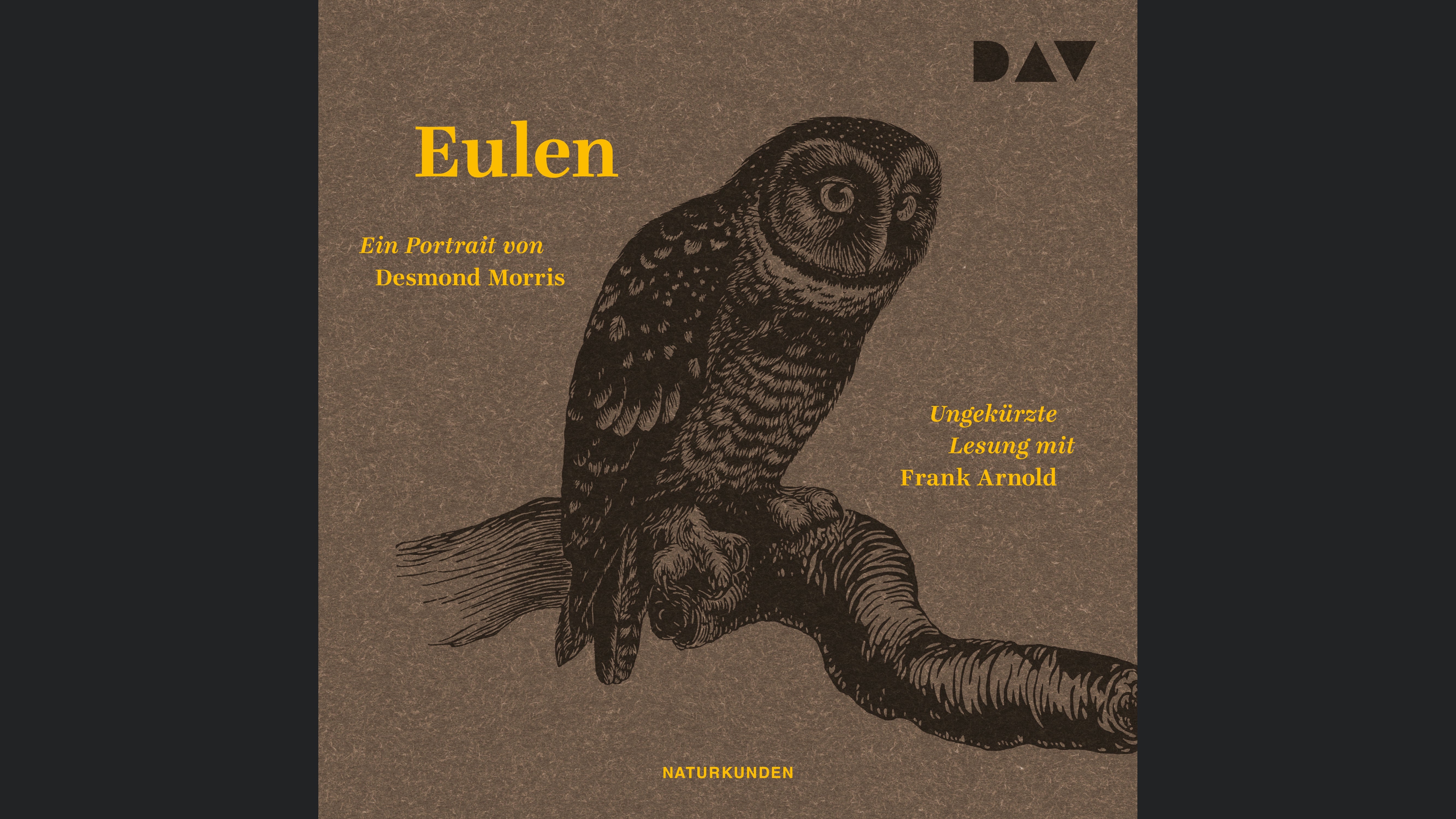 Eulen. Ein Portrait