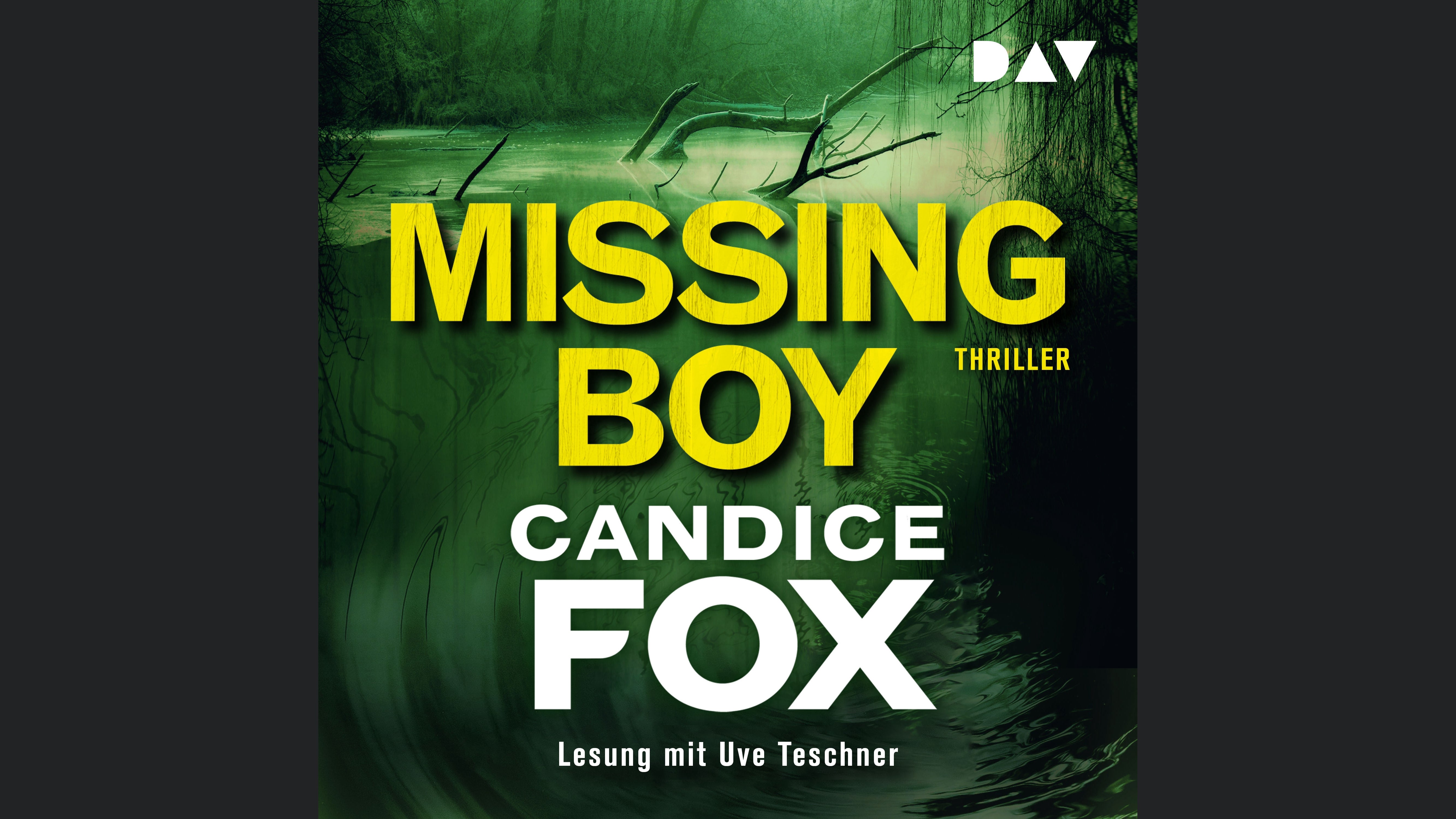 Missing Boy
