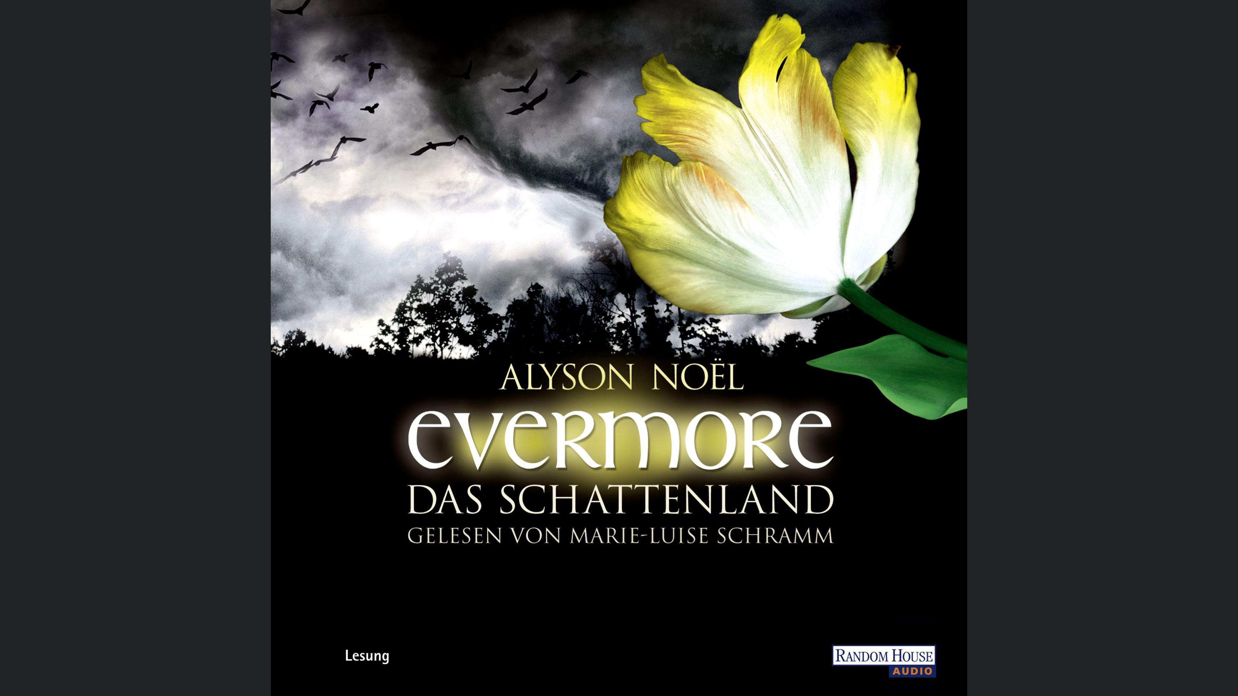 Evermore. Das Schattenland