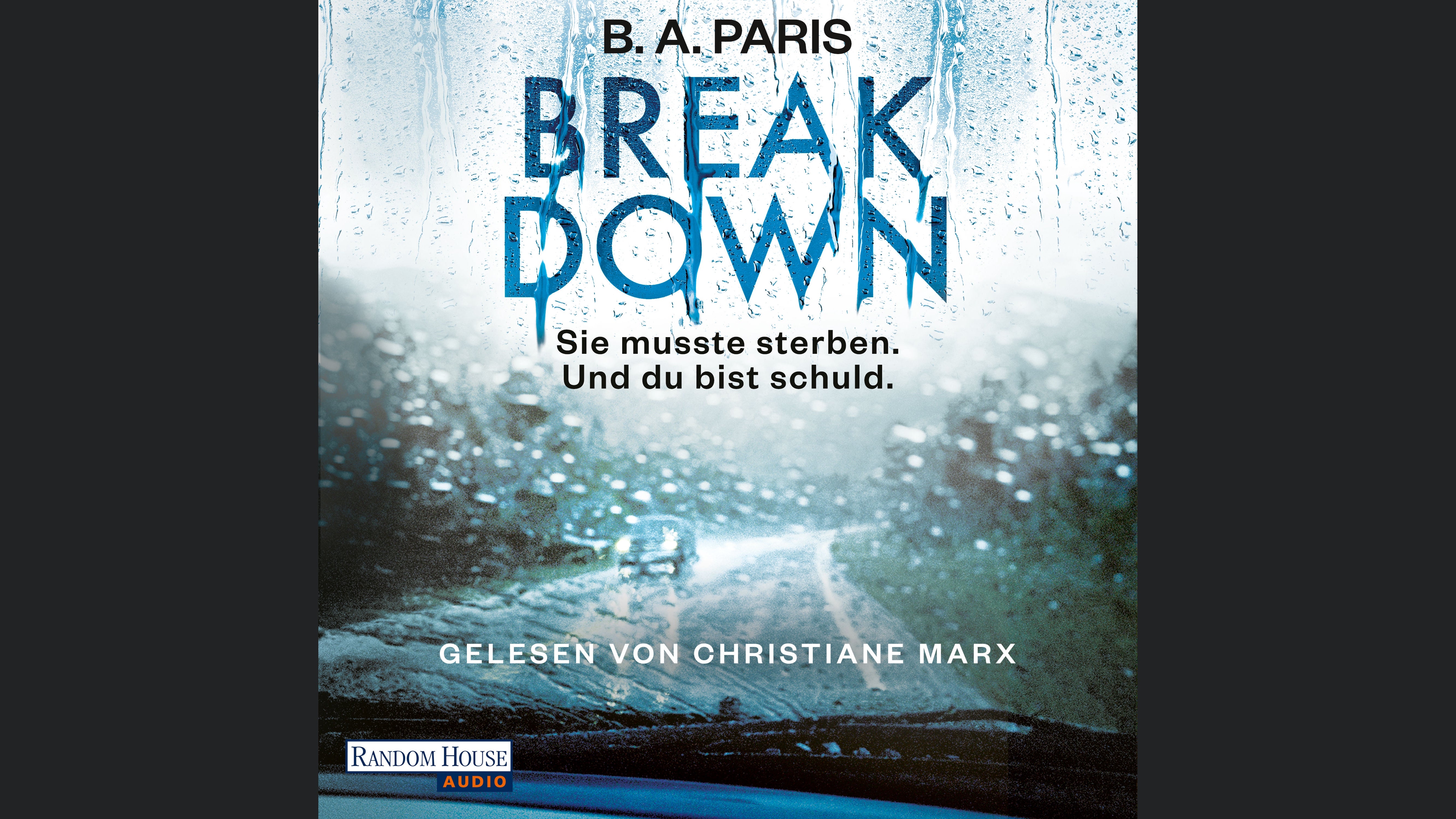 Breakdown - Sie musste sterben. Und du bist schuld