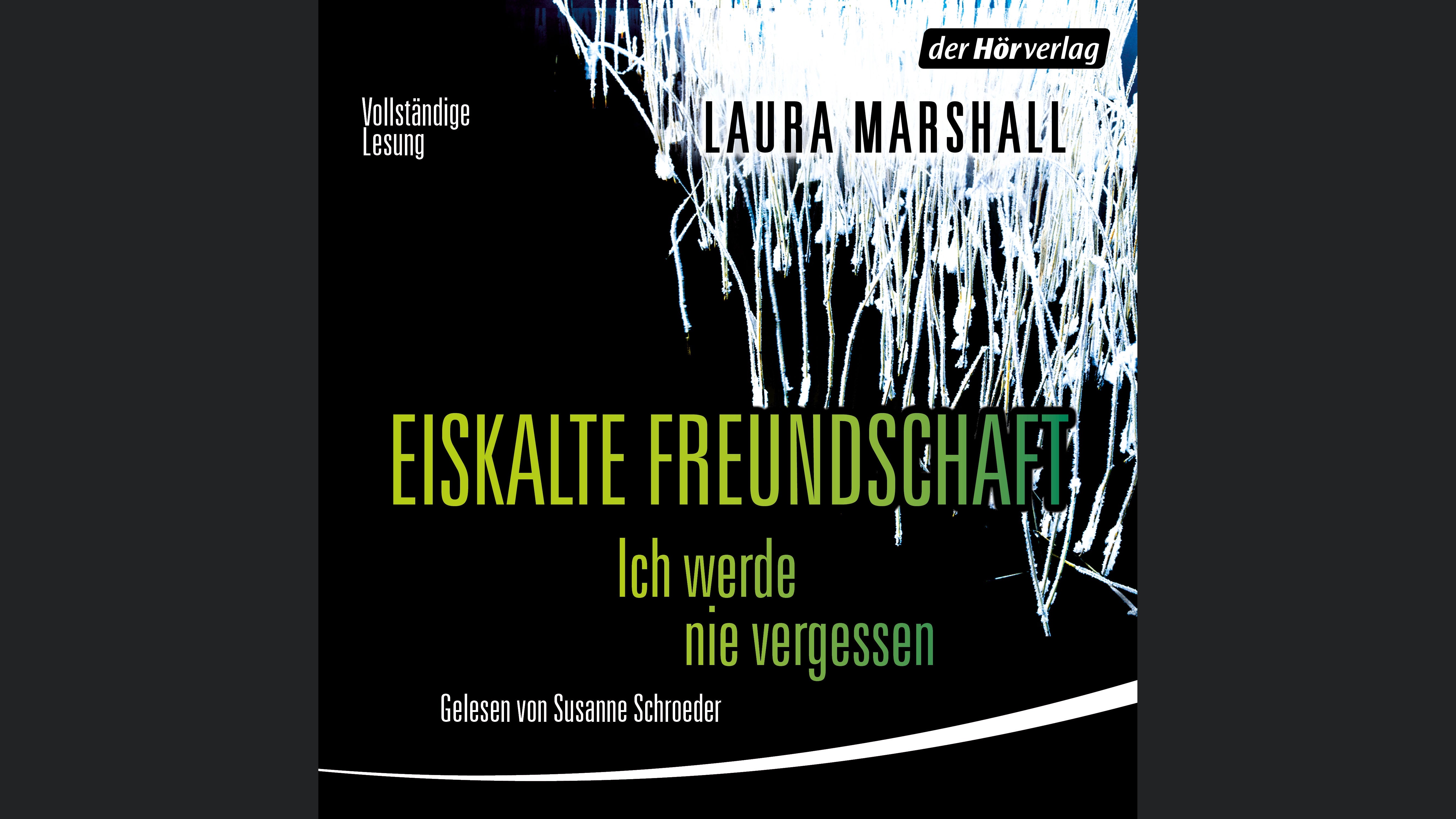 Eiskalte Freundschaft - Ich werde nie vergessen