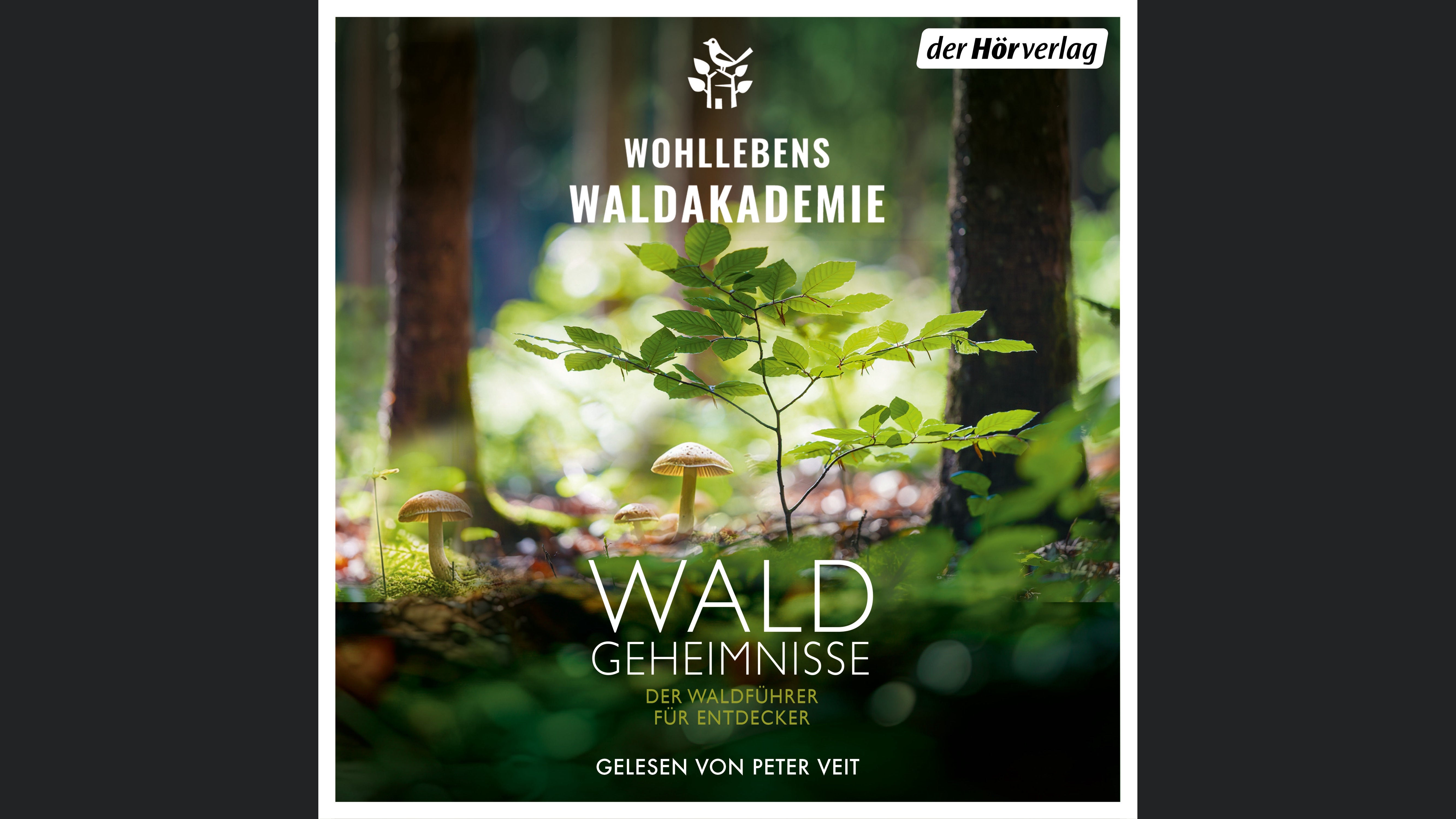 Waldgeheimnisse
