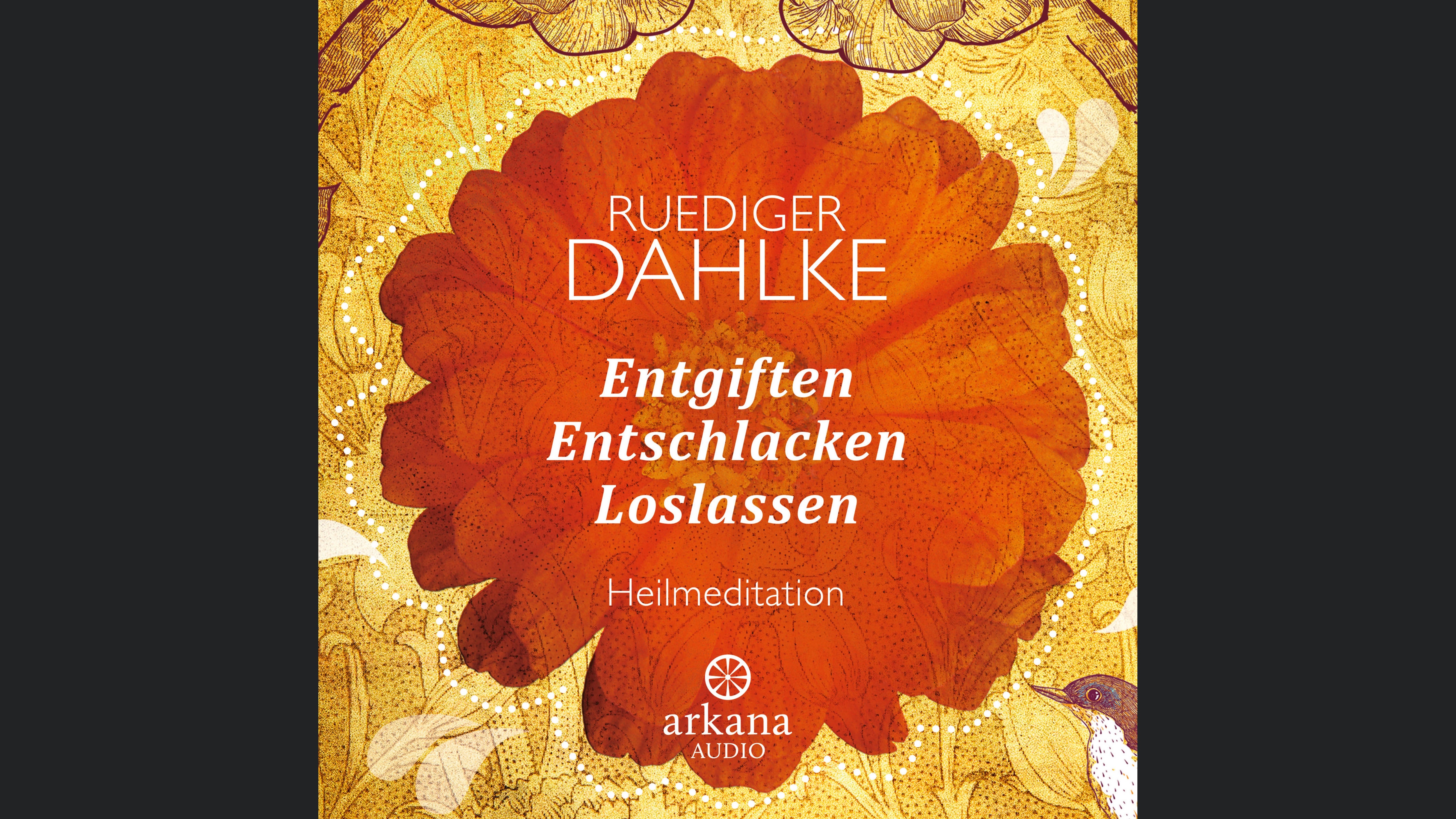 Entgiften Entschlacken Loslassen