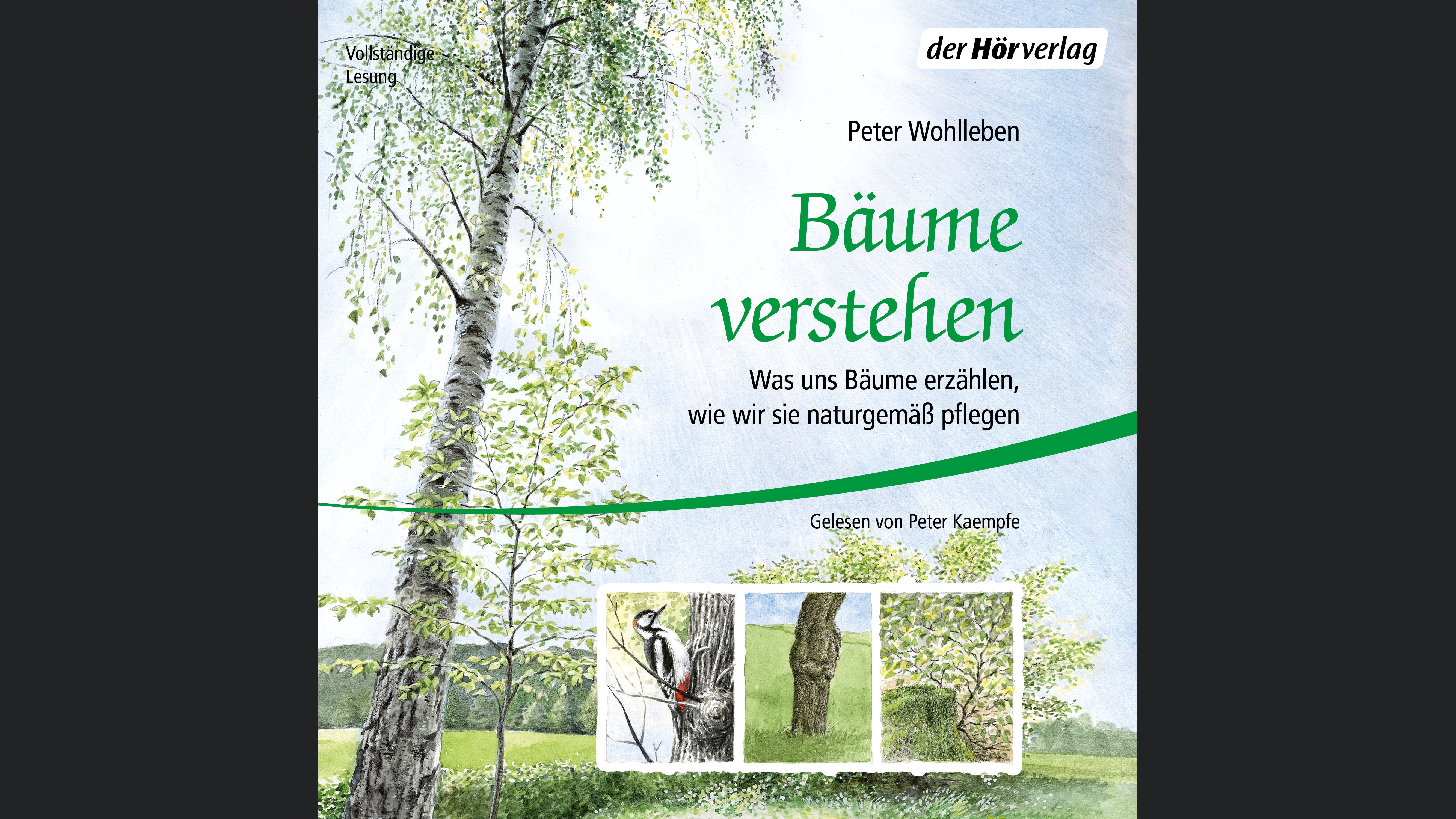 Bäume verstehen