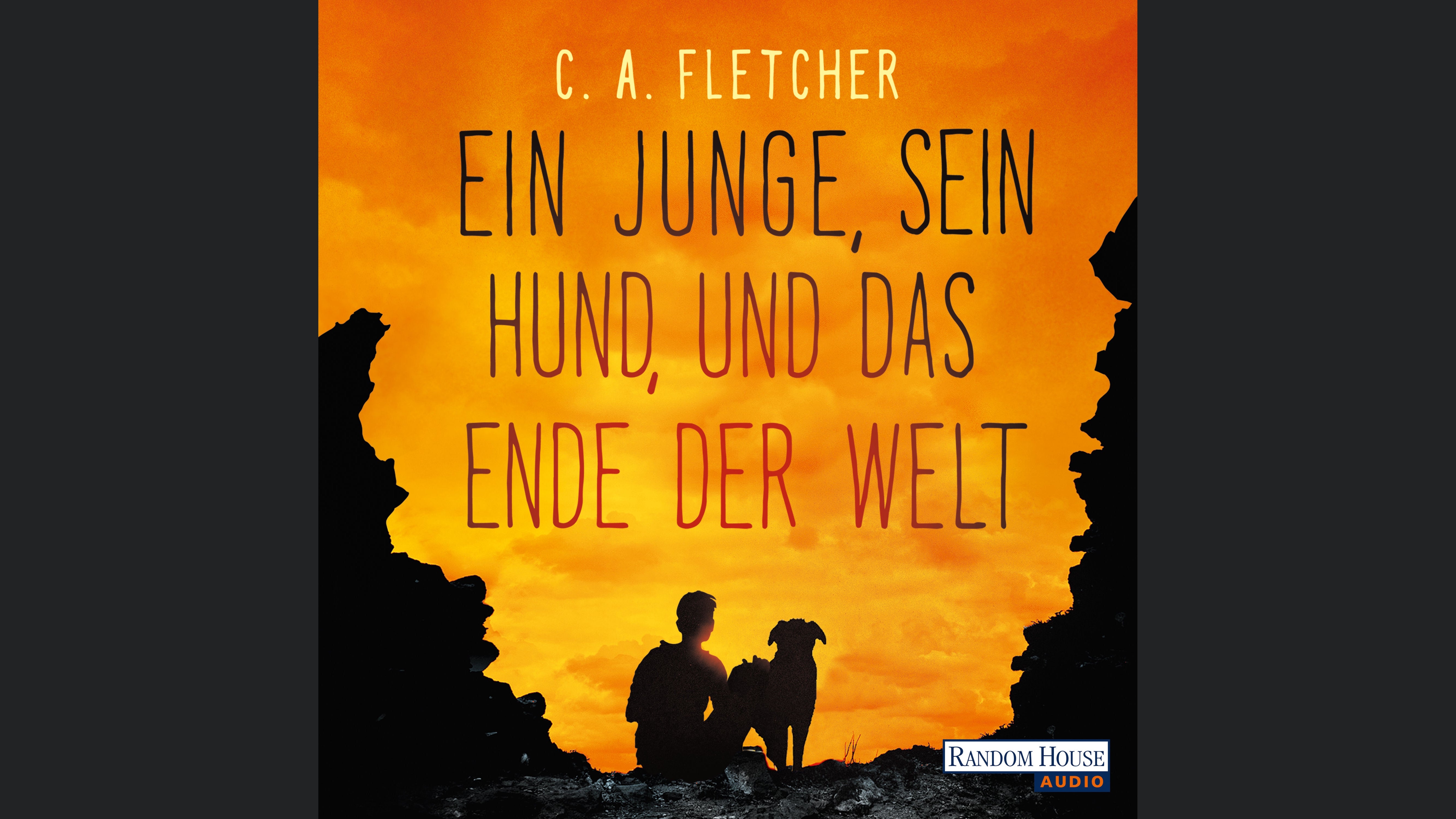 Ein Junge, sein Hund und das Ende der Welt