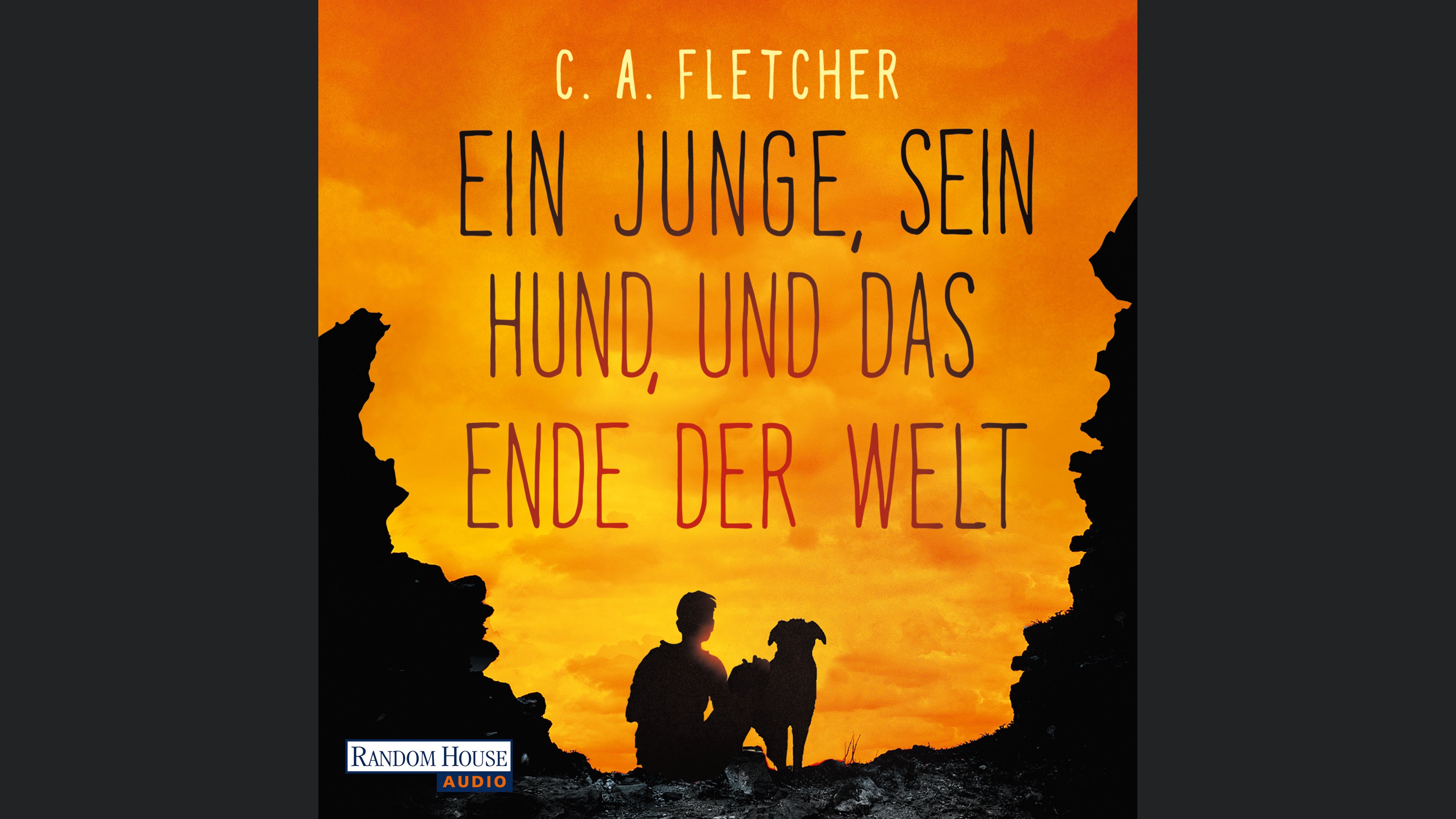 Ein Junge, sein Hund und das Ende der Welt