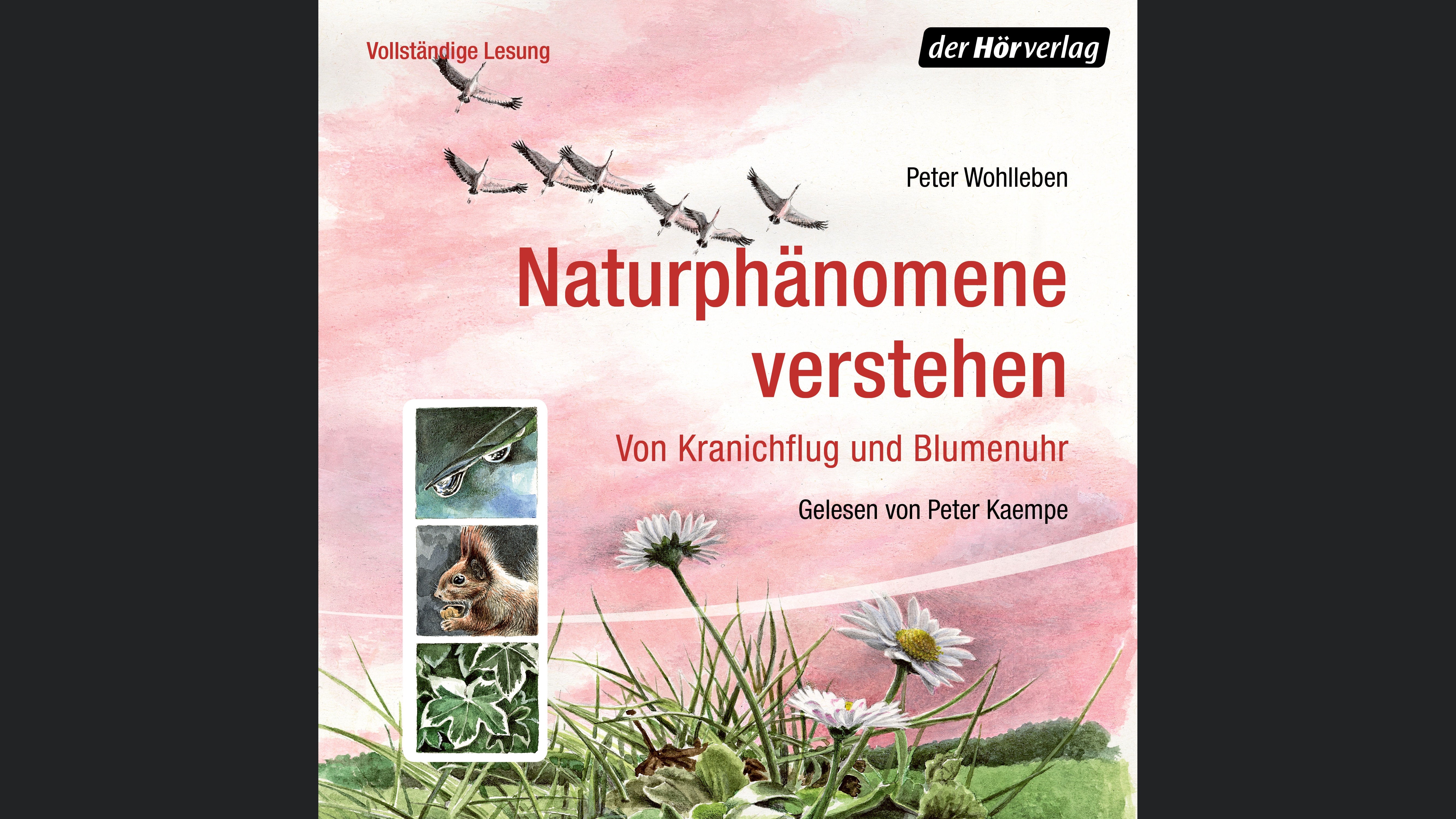 Naturphänomene verstehen