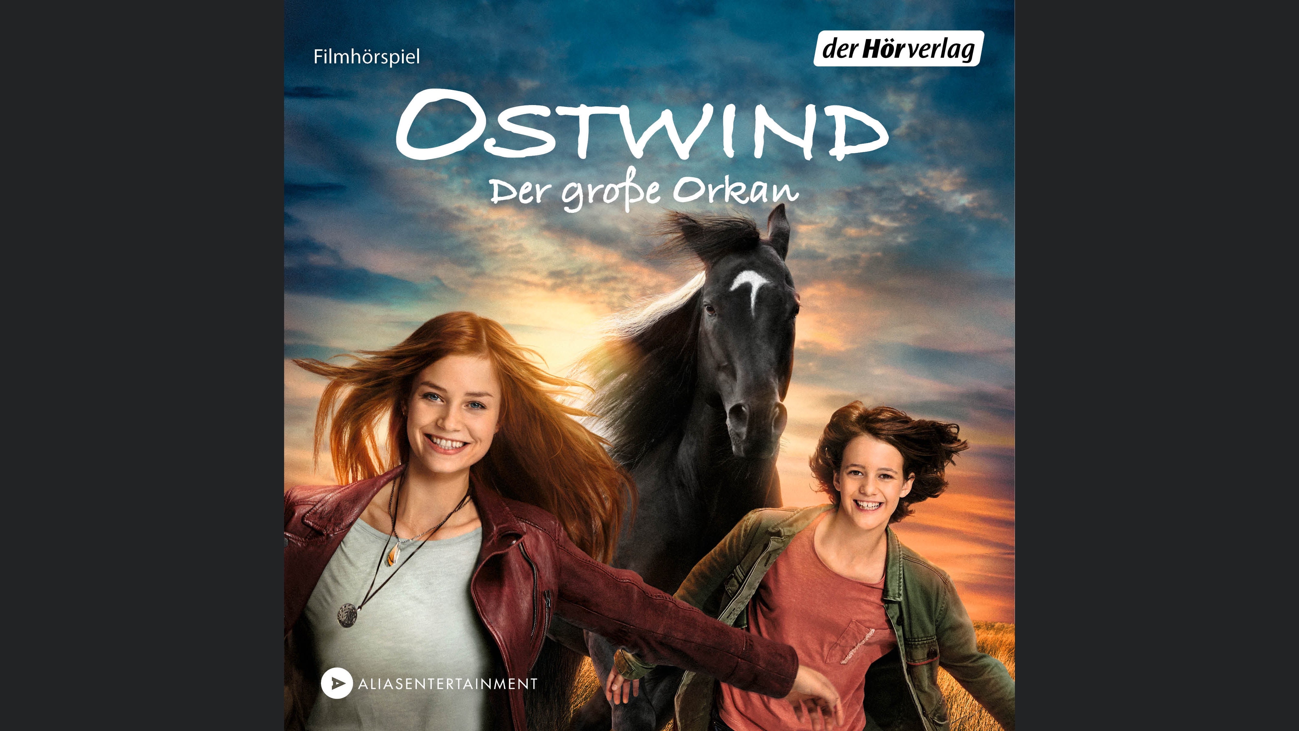 Ostwind 5 Der große Orkan