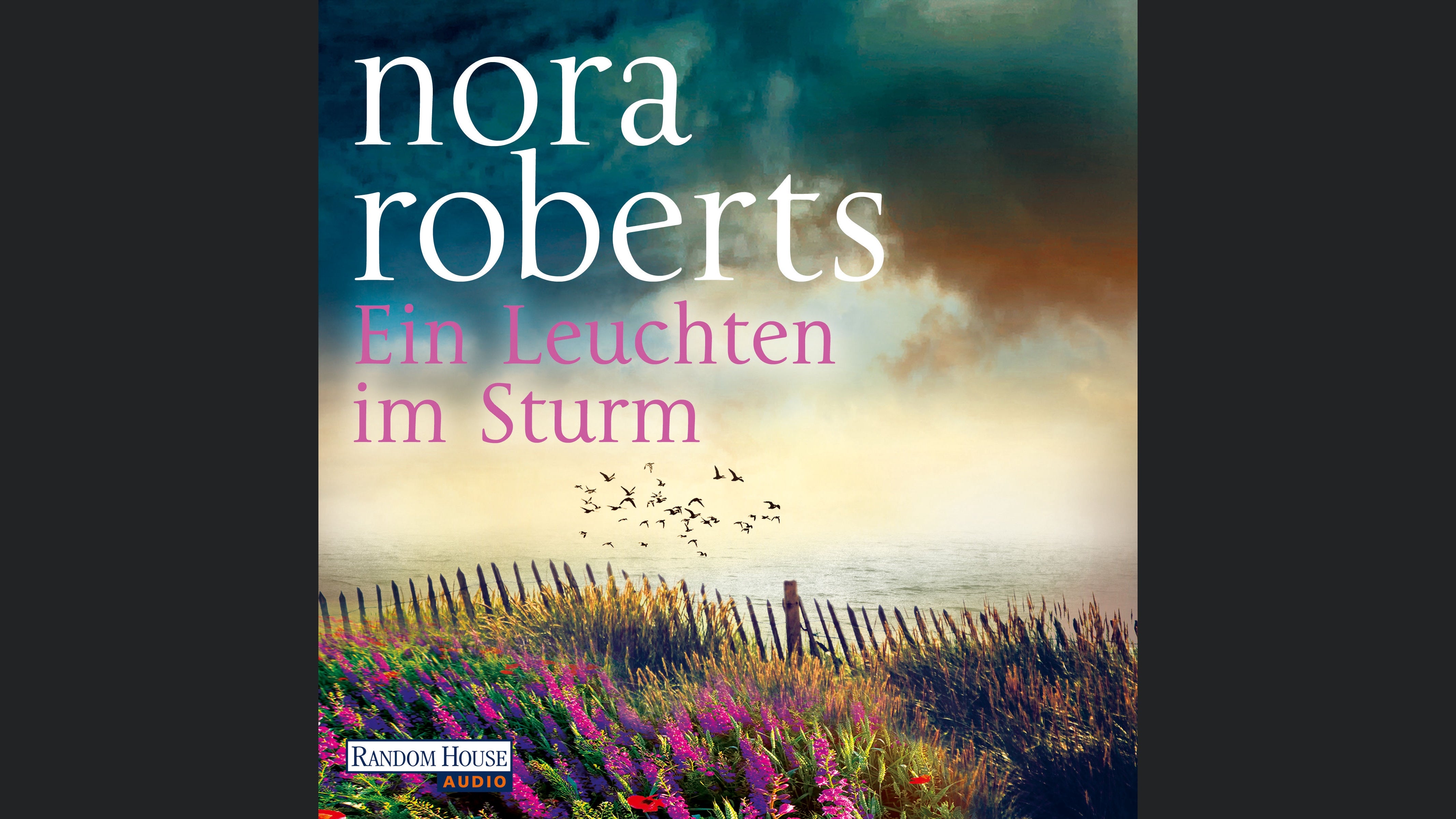 Ein Leuchten im Sturm