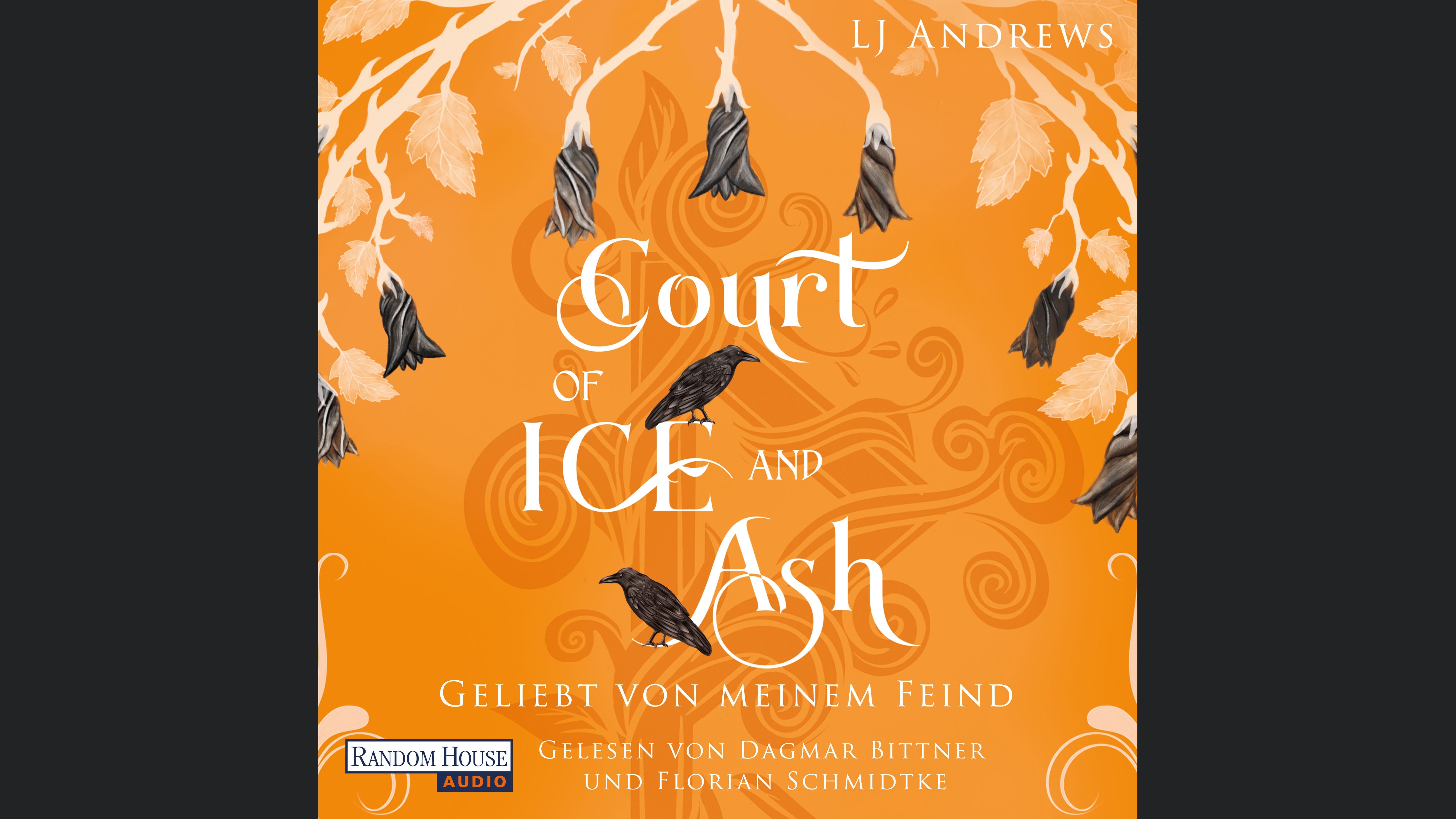 Court of Ice and Ash  - Geliebt von meinem Feind -