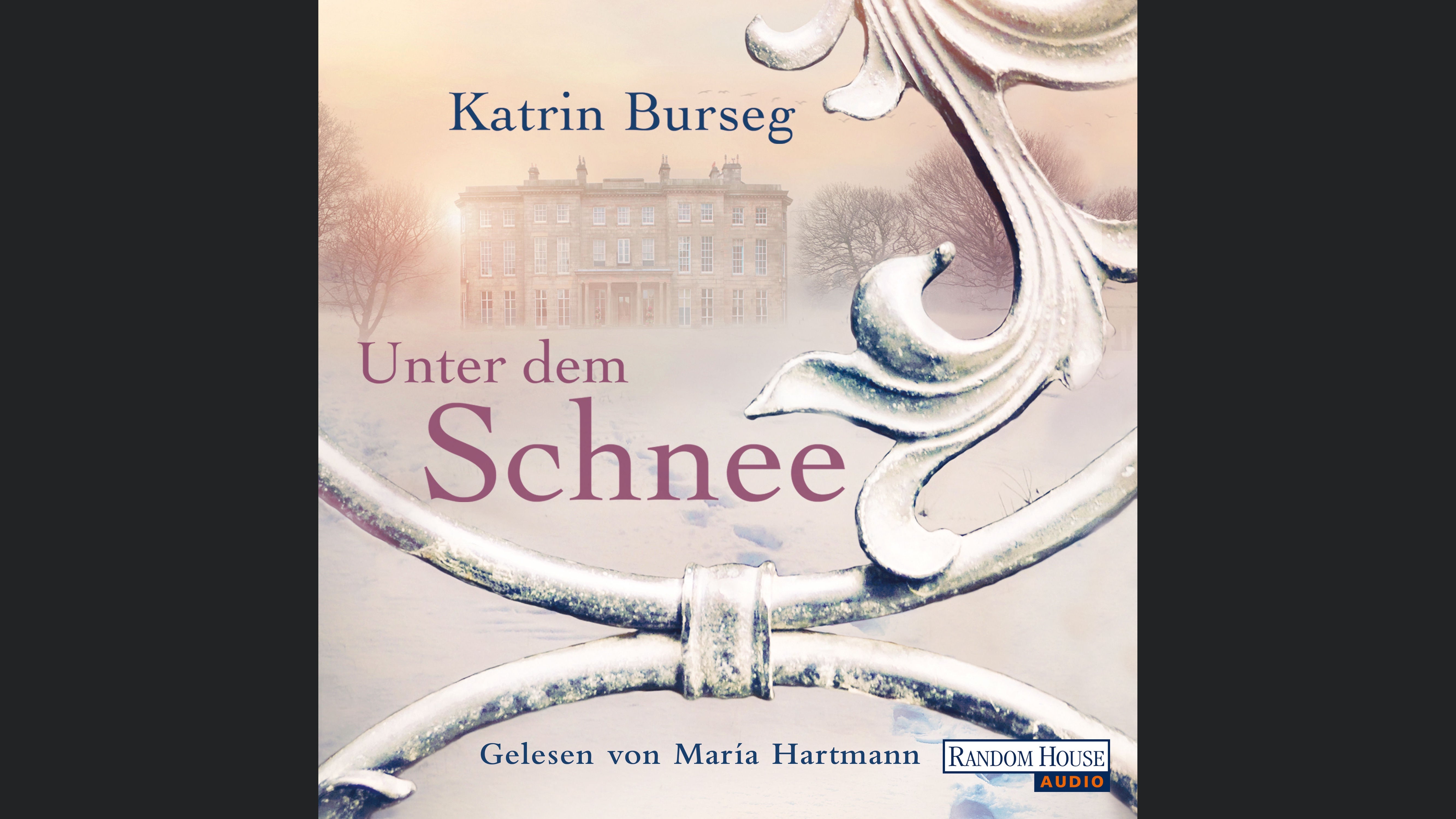 Unter dem Schnee