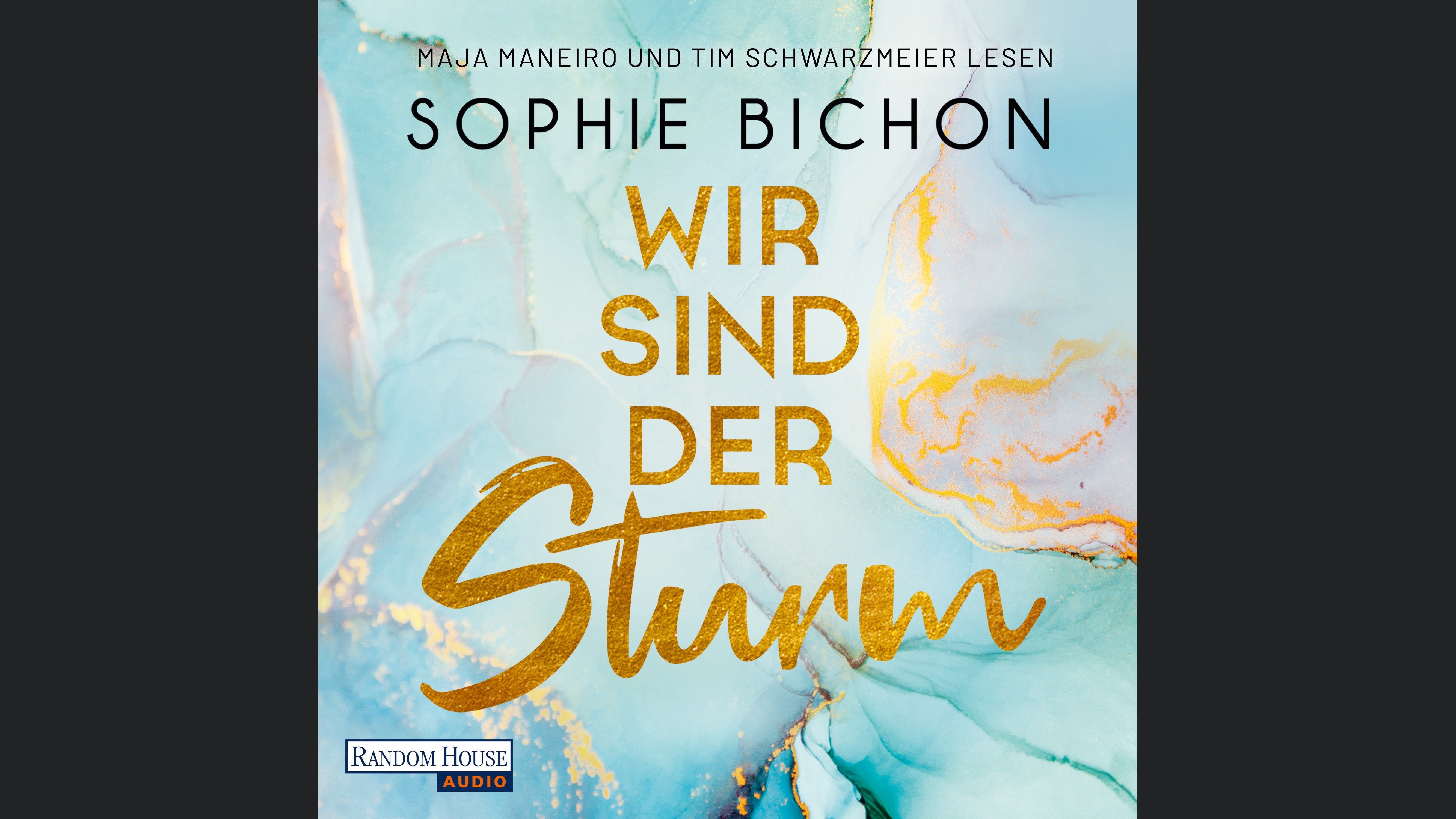 Wir sind der Sturm