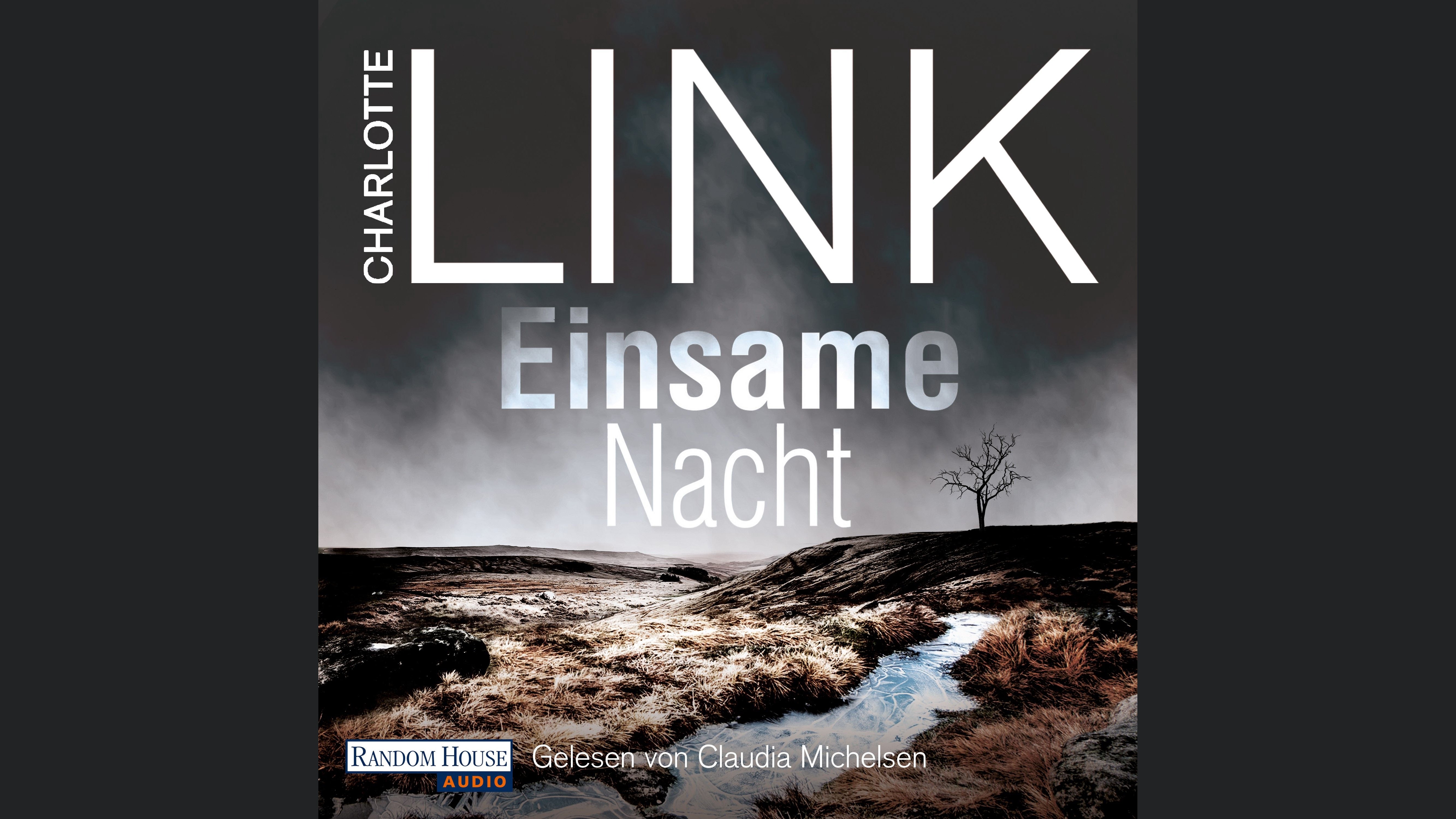 Einsame Nacht