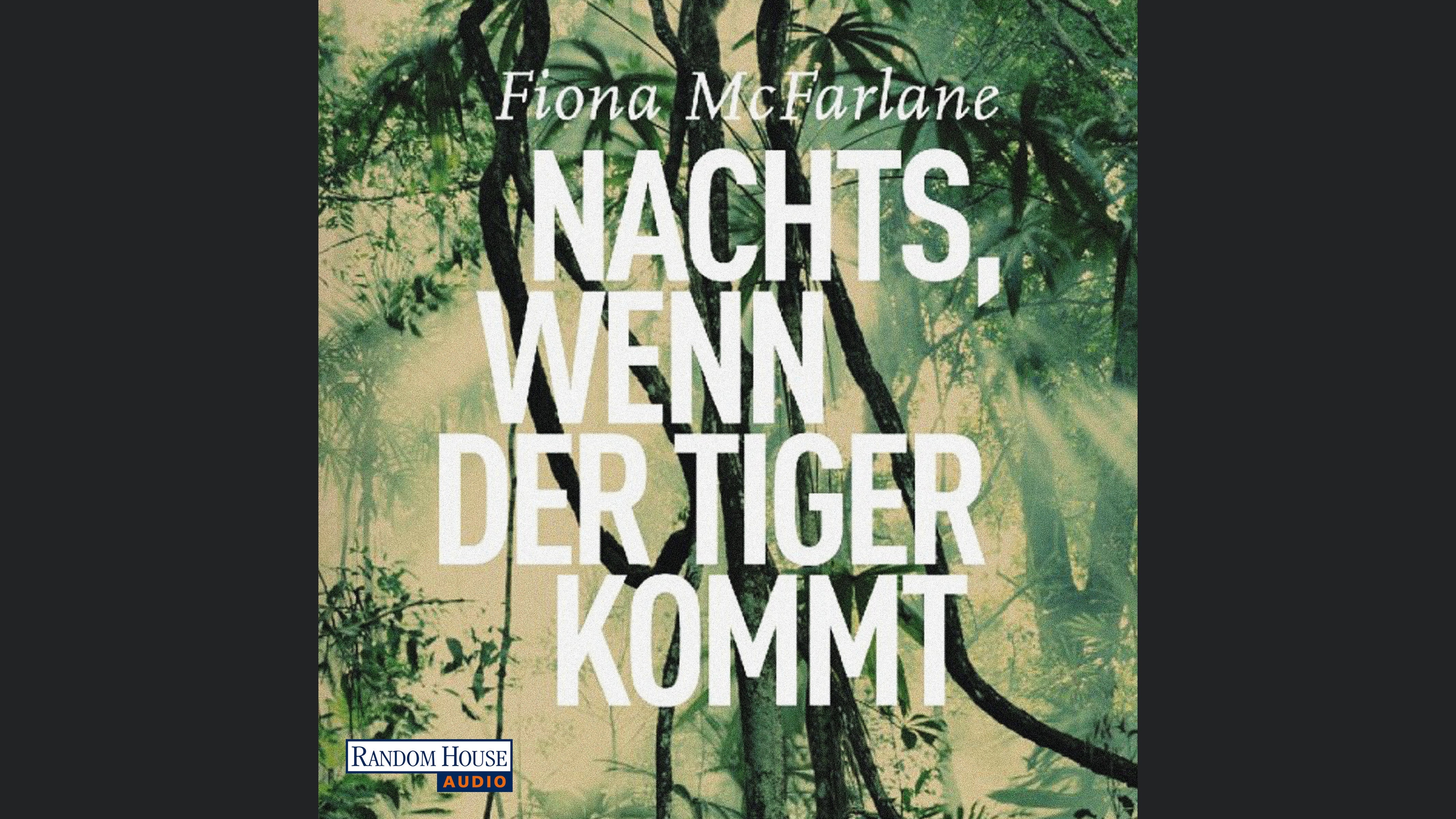 Nachts, wenn der Tiger kommt
