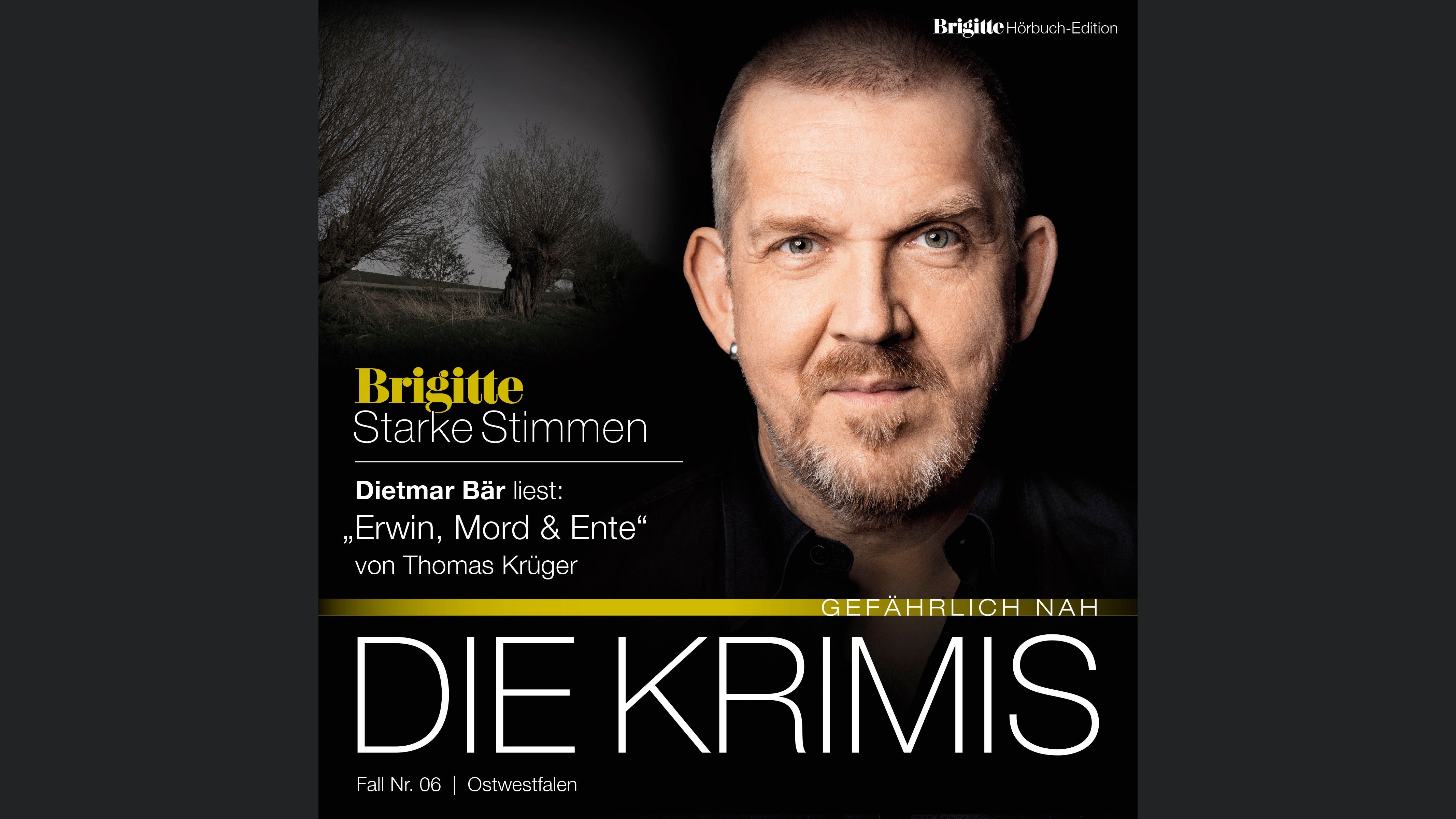 Erwin, Mord & Ente