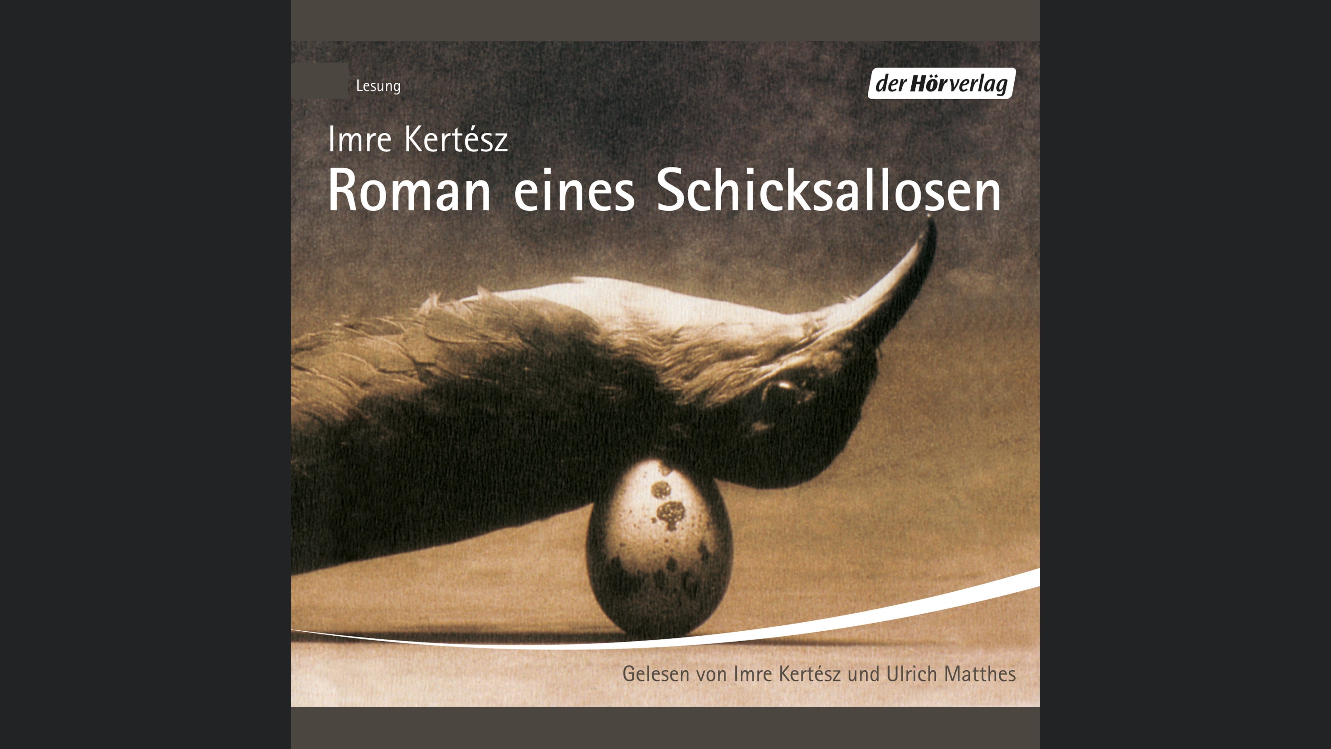 Roman eines Schicksallosen