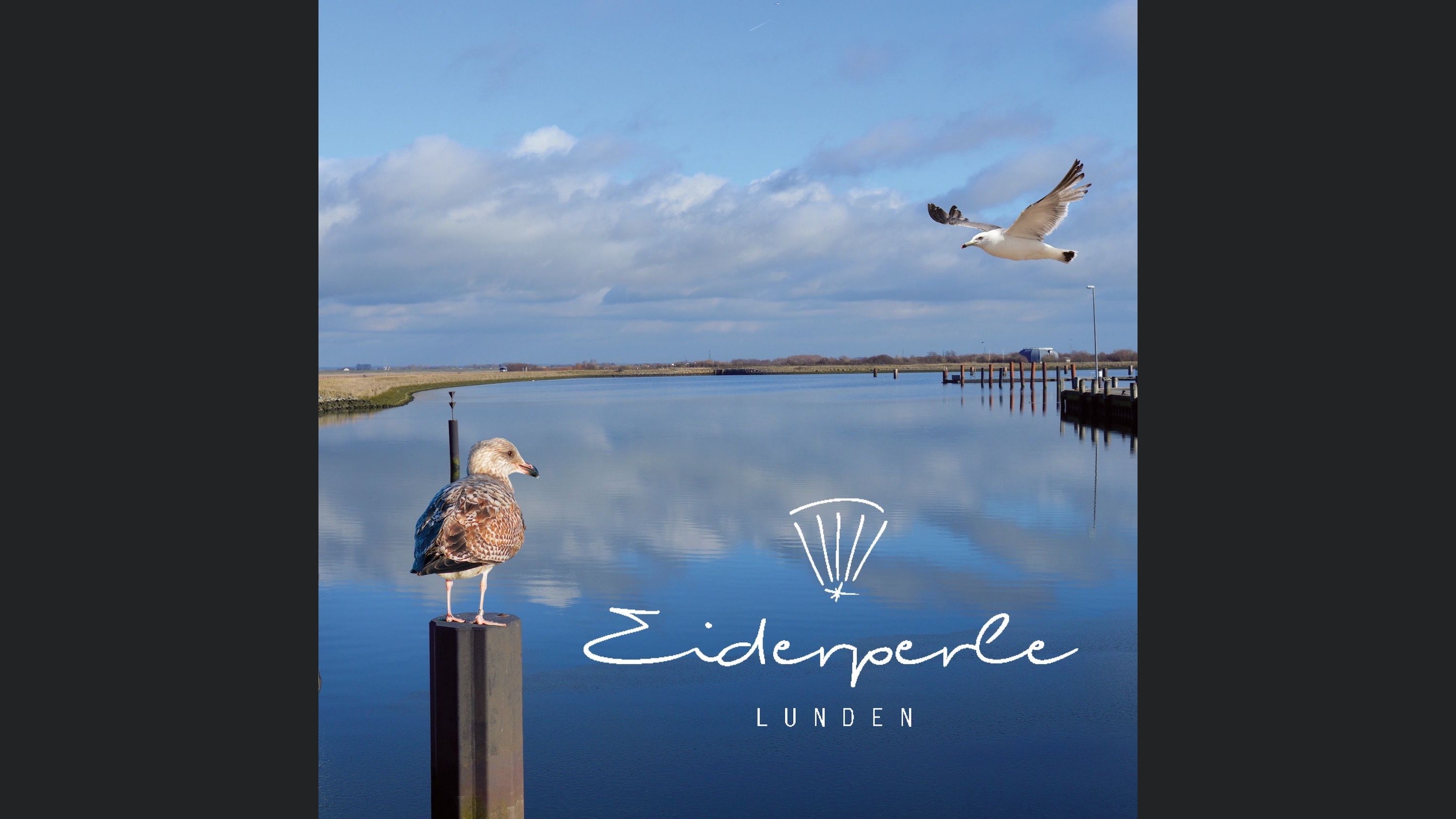 Eiderperlen