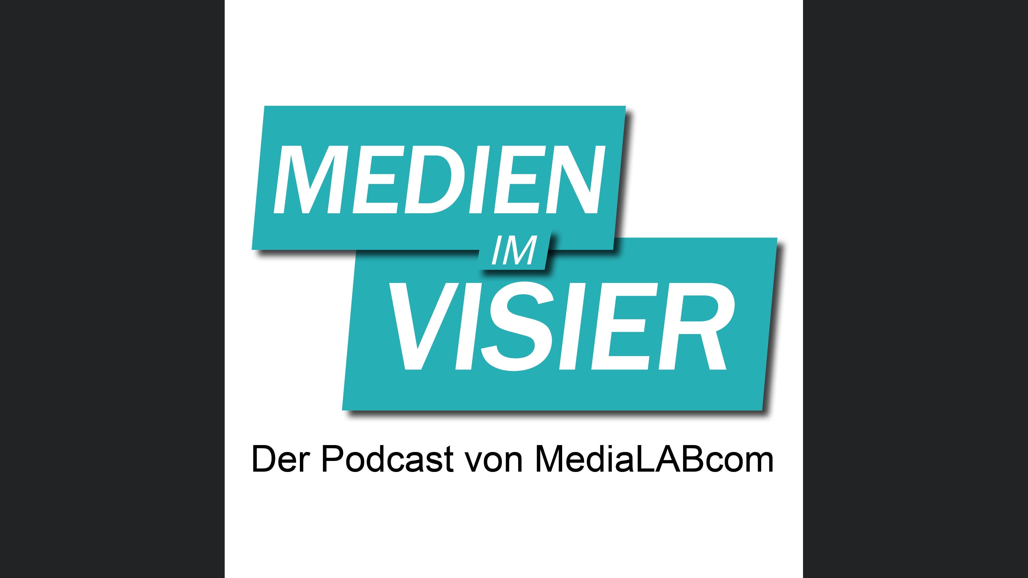Medien im Visier